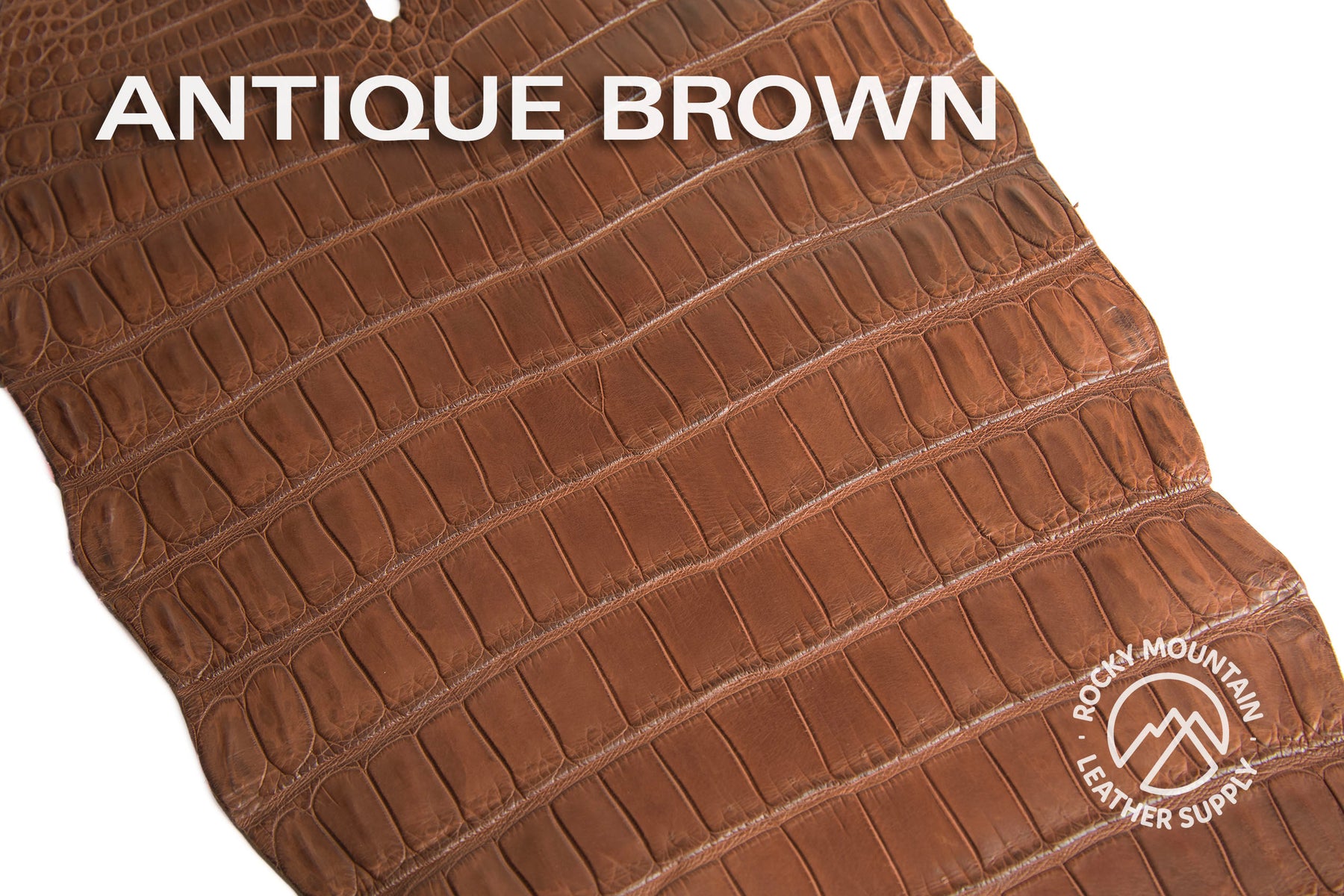 Porosus Crocodile Tails (Matte) - Luxury Skins - 50% OFF!