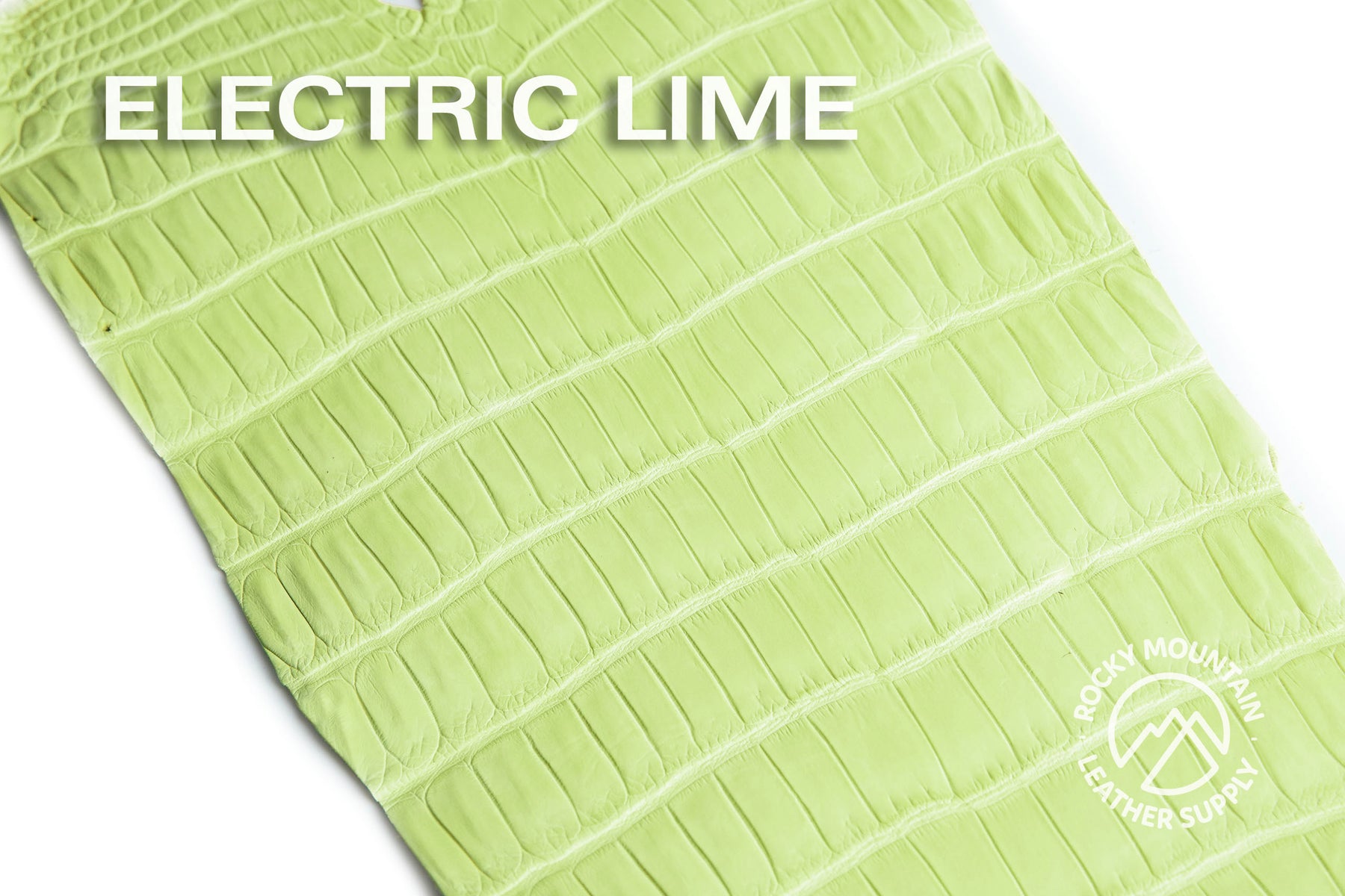 Porosus Crocodile Tails (Matte) - Luxury Skins - 50% OFF!