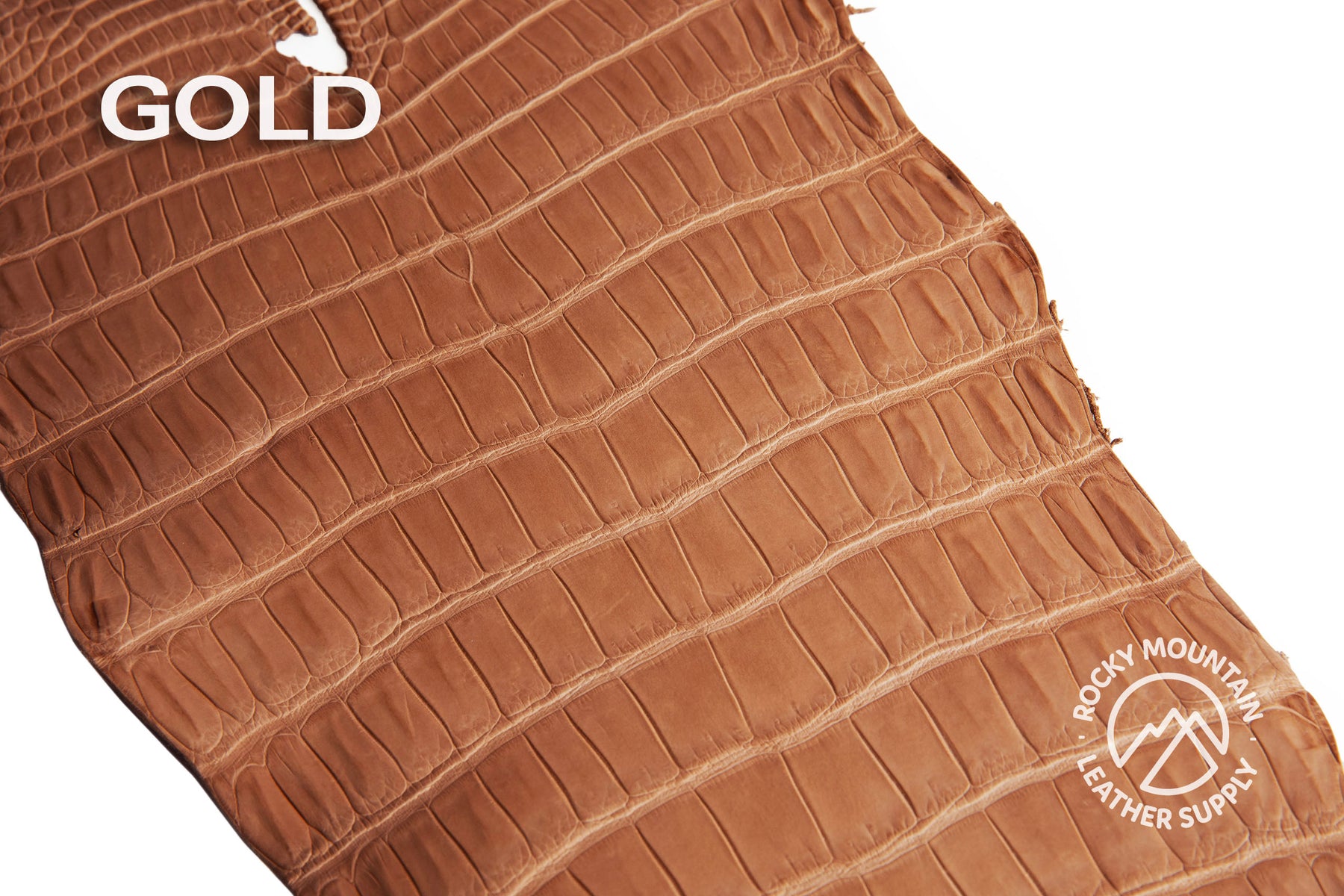 Porosus Crocodile Tails (Matte) - Luxury Skins - 50% OFF!