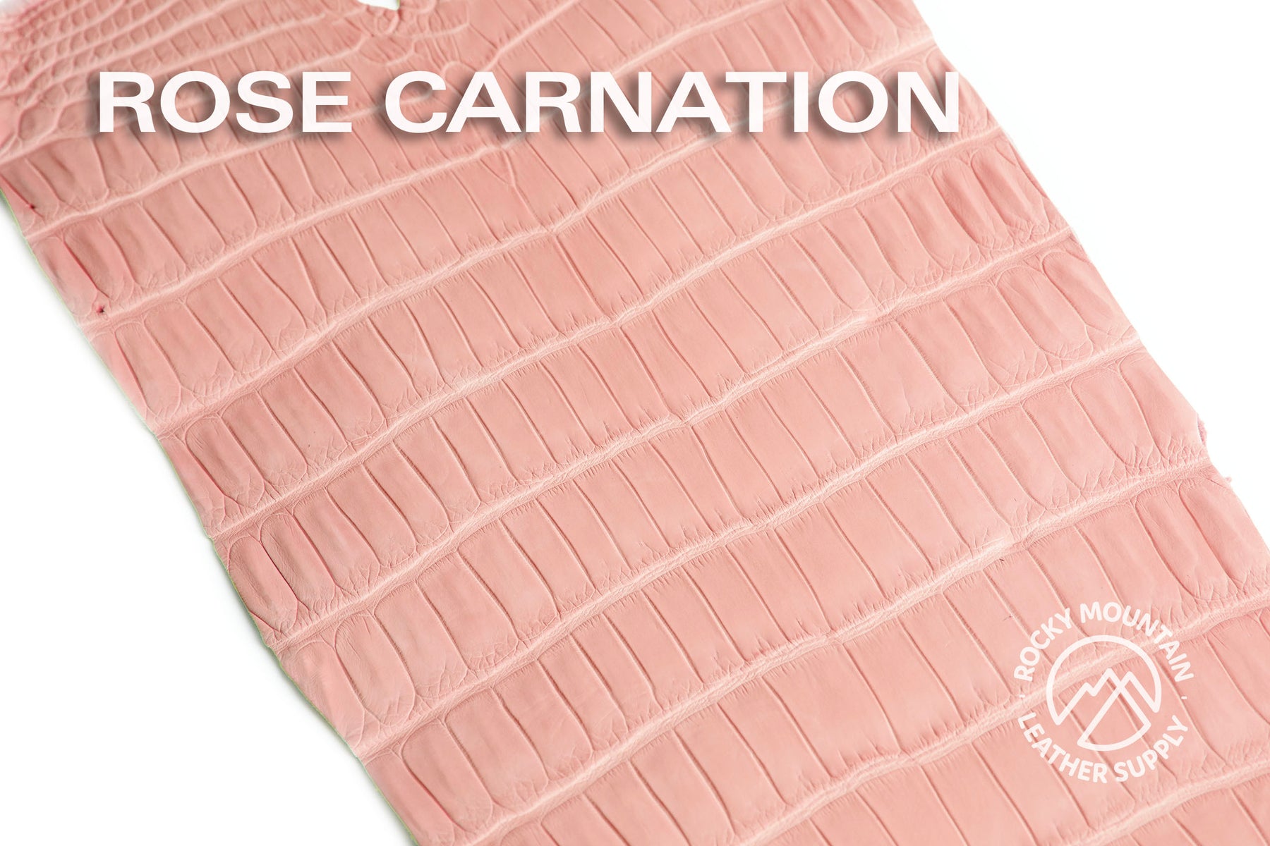 Porosus Crocodile Tails (Matte) - Luxury Skins - 50% OFF!