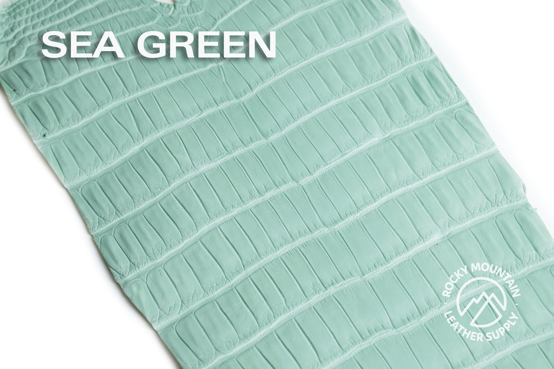 Porosus Crocodile Tails (Matte) - Luxury Skins - 50% OFF!