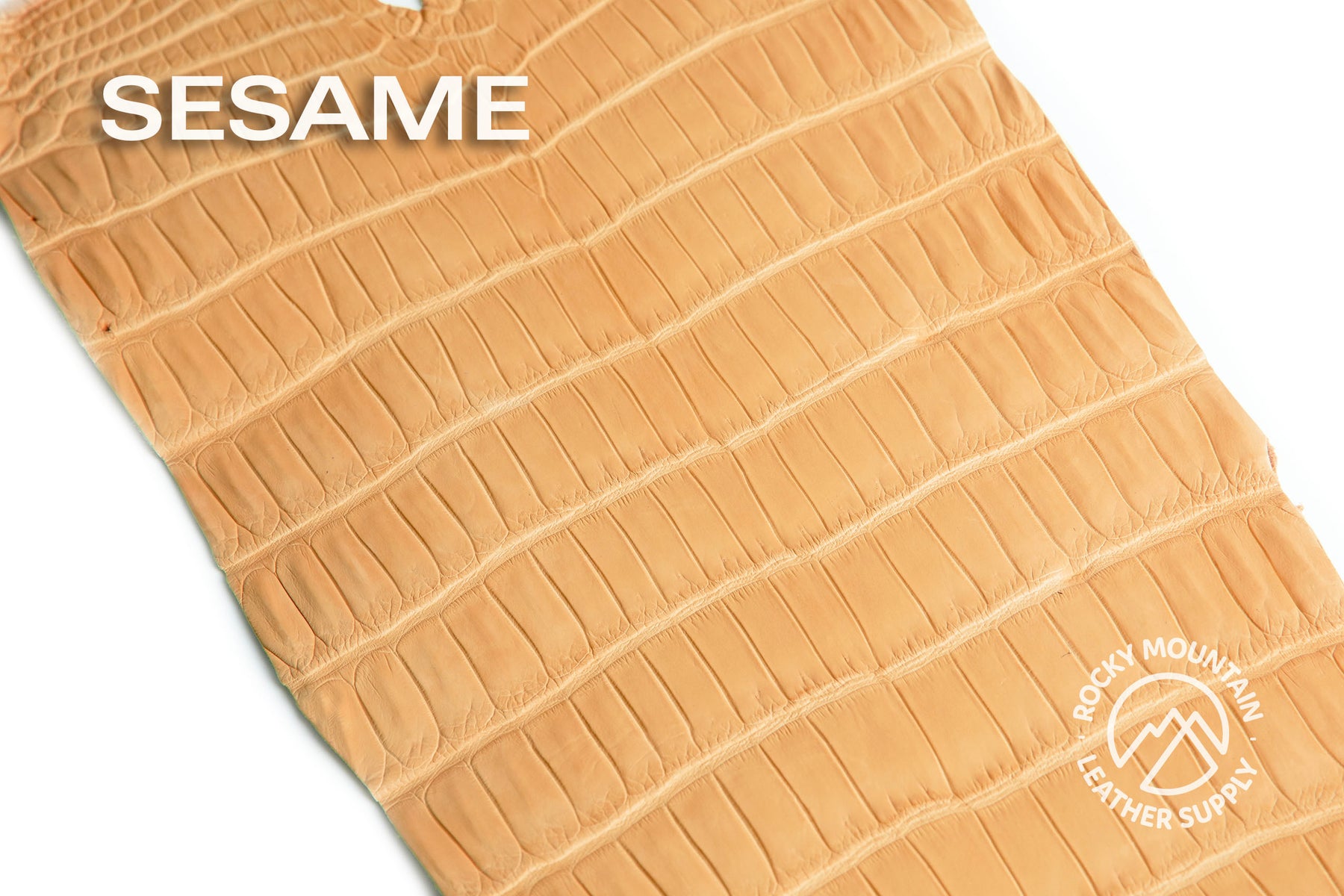 Porosus Crocodile Tails (Matte) - Luxury Skins - 50% OFF!