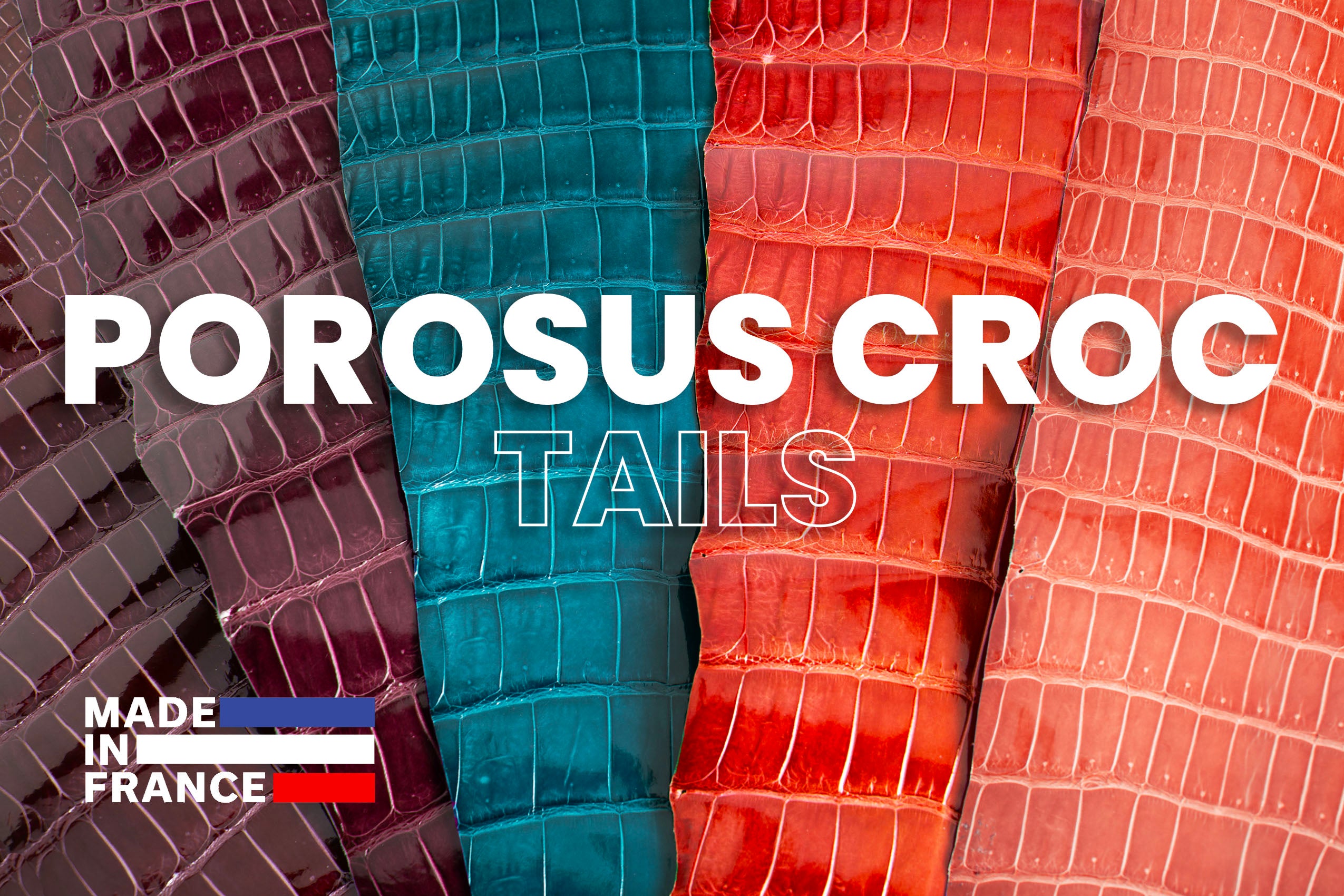 Porosus Crocodile Tails (Glazed) - Luxury Skins - 80% OFF!