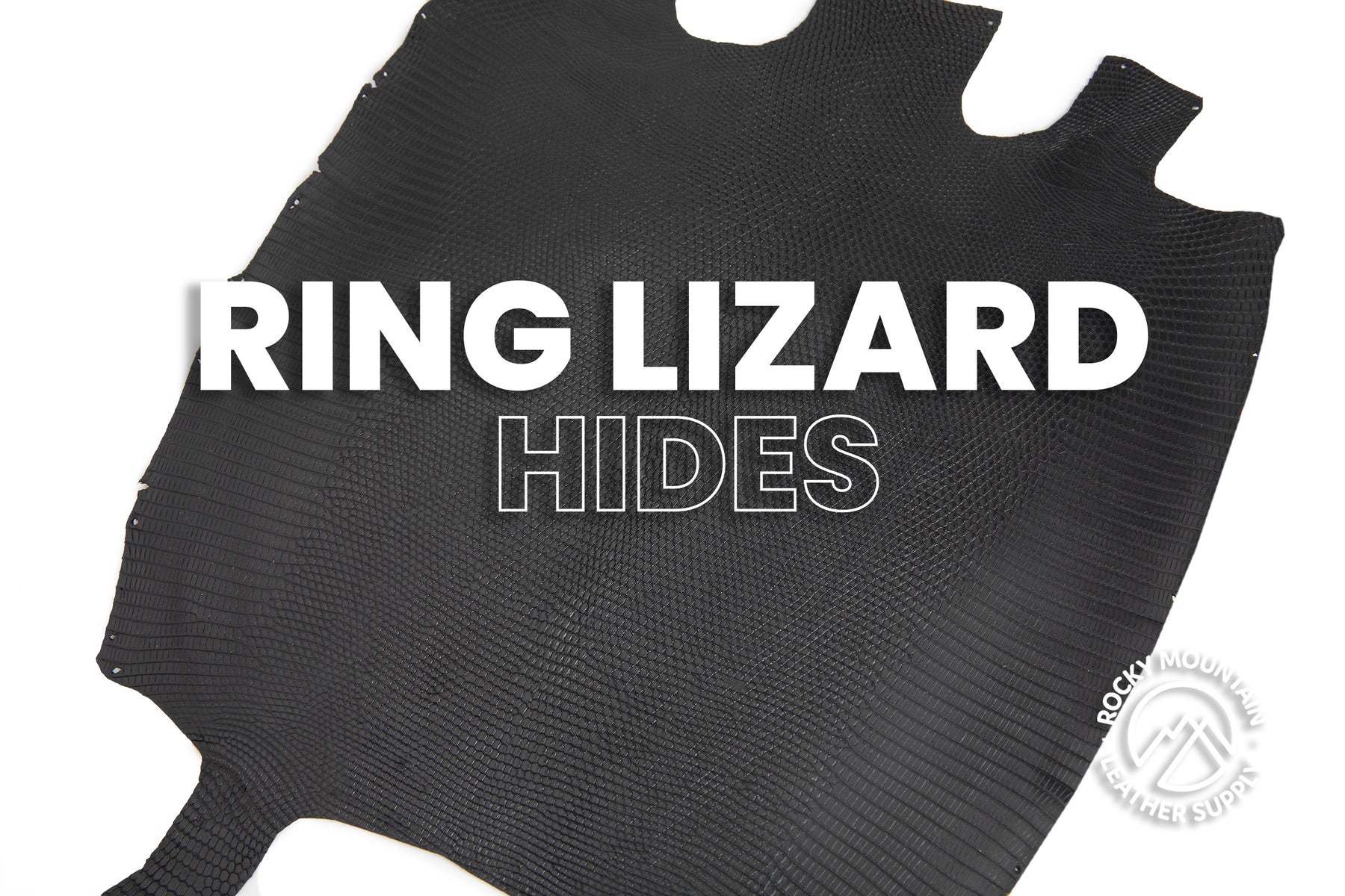 Ring Lizard - Matte Black - Front Cut - Exotic Leather (HIDES) – Rocky ...