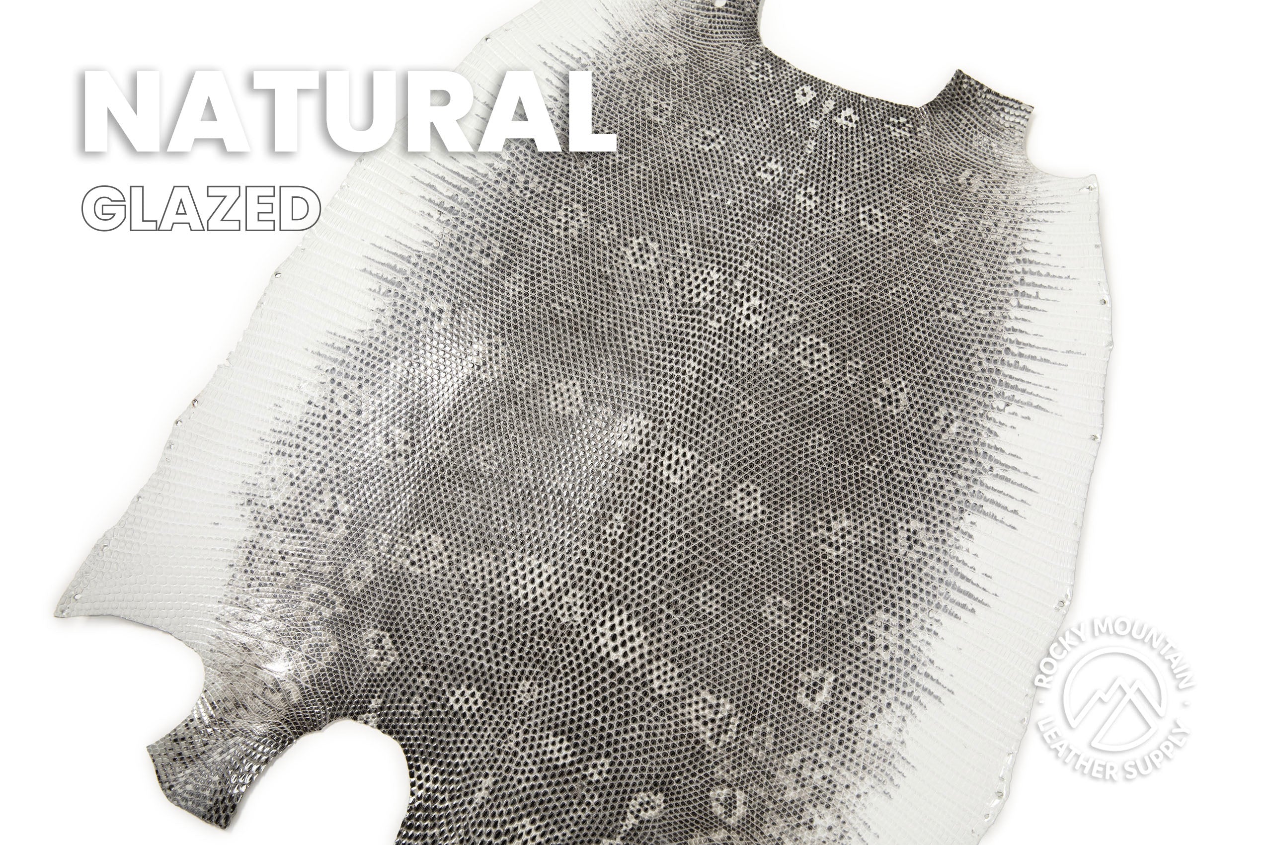Ring Lizard - Natural - Exotic Leather (HIDES)