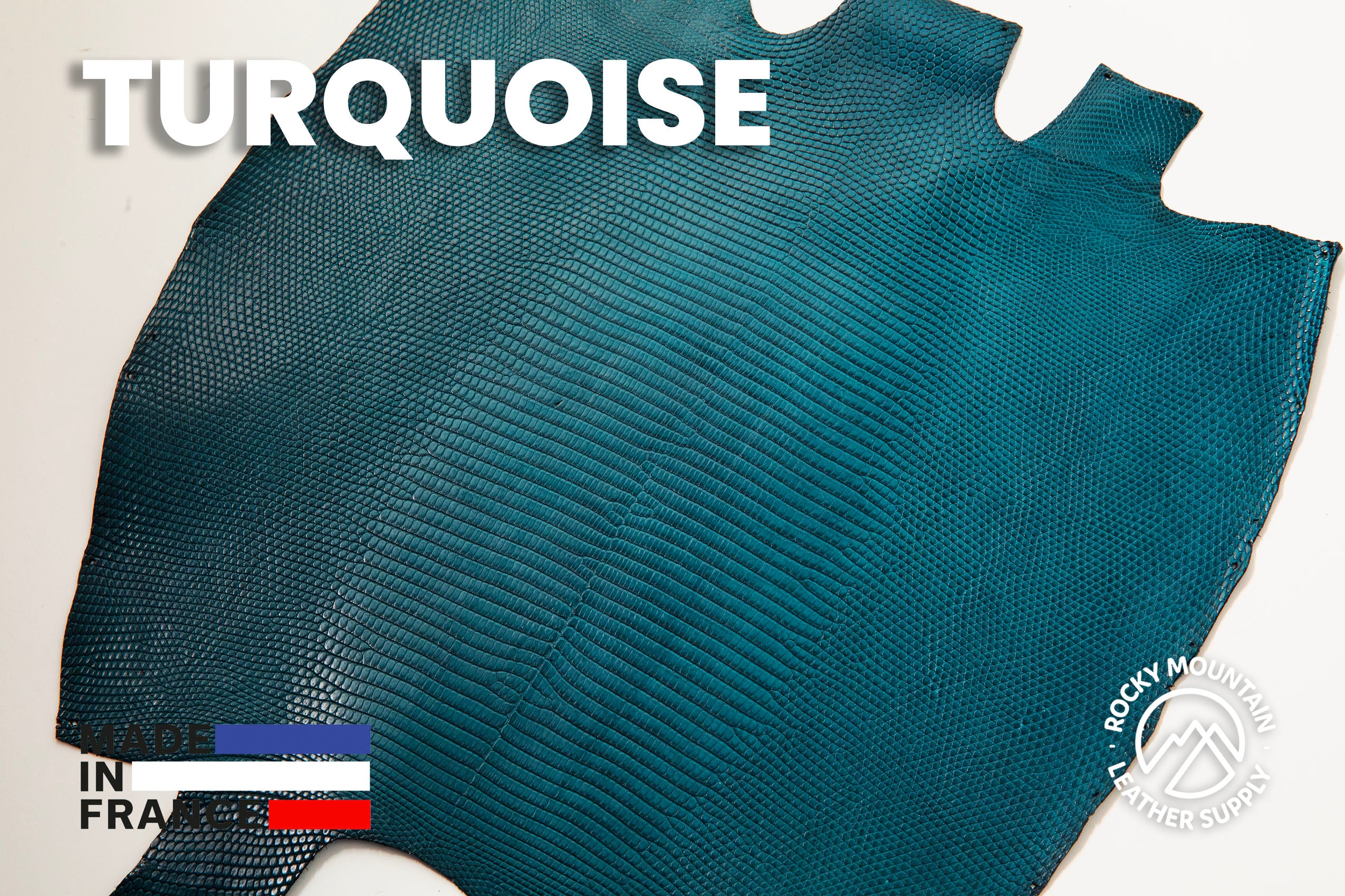 Ring Lizard - Back Cut - Exotic Leather (HIDES)