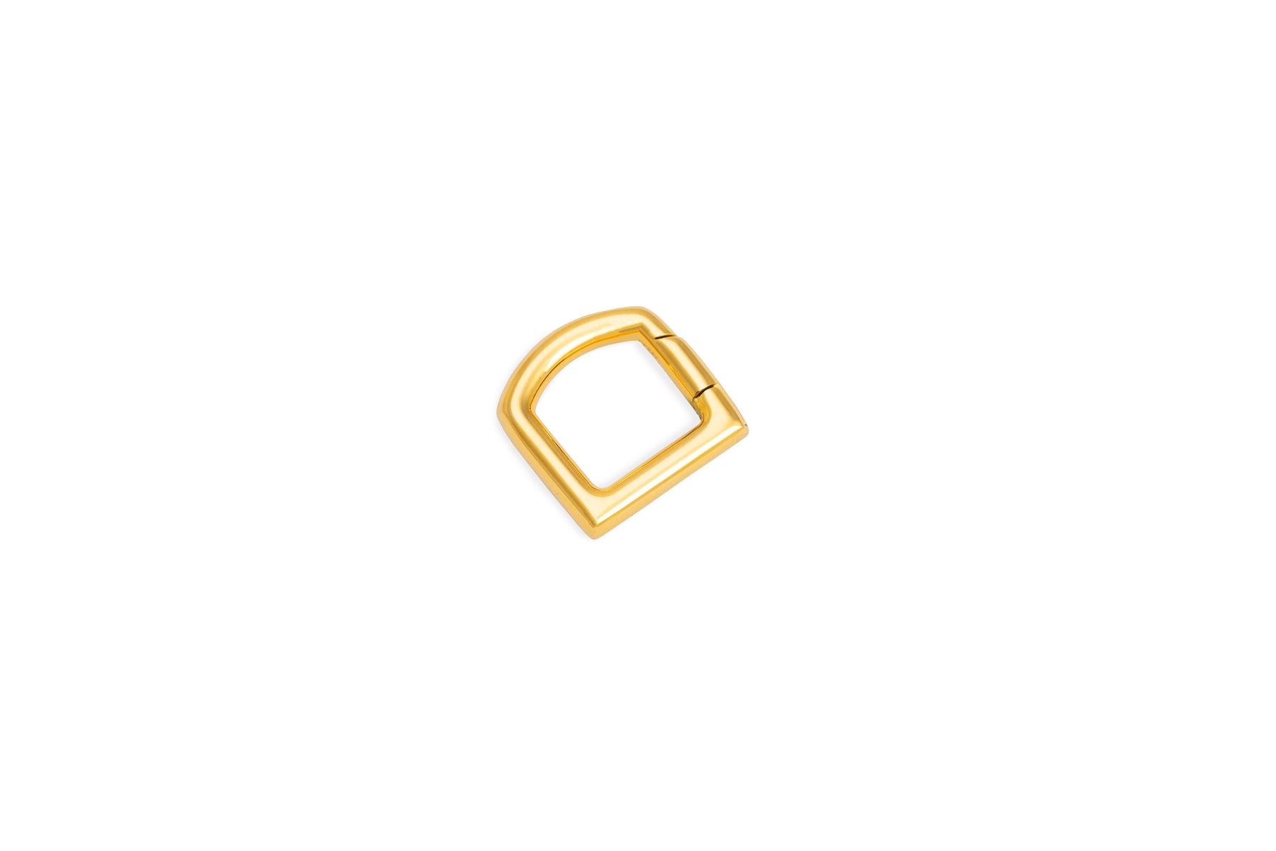 Dione - Luxury D Ring Latch (Stainless Steel)