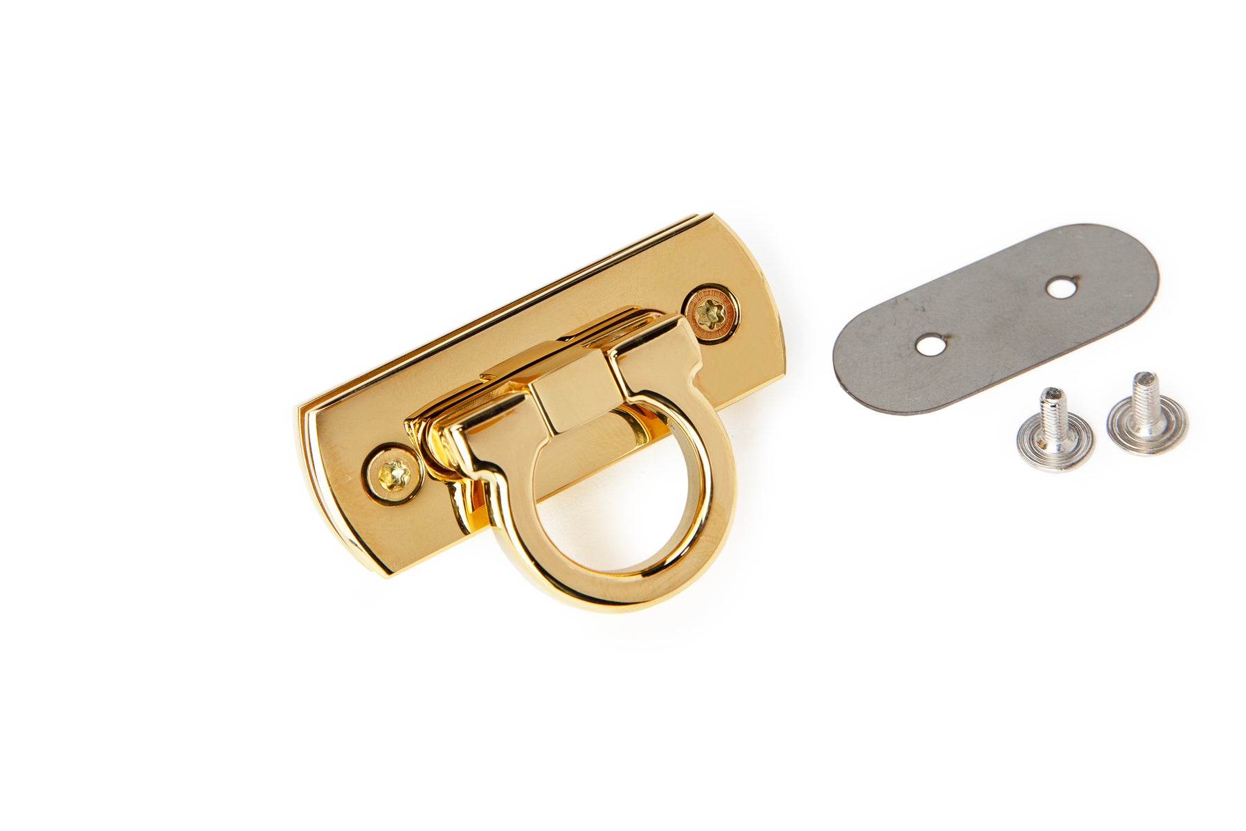 Medea - Luxury Clasp Lock (Stainless Steel)