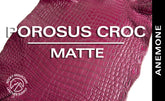 Porosus Crocodile - Matte - Farm Raised / Luxury Skins (35-39cm)