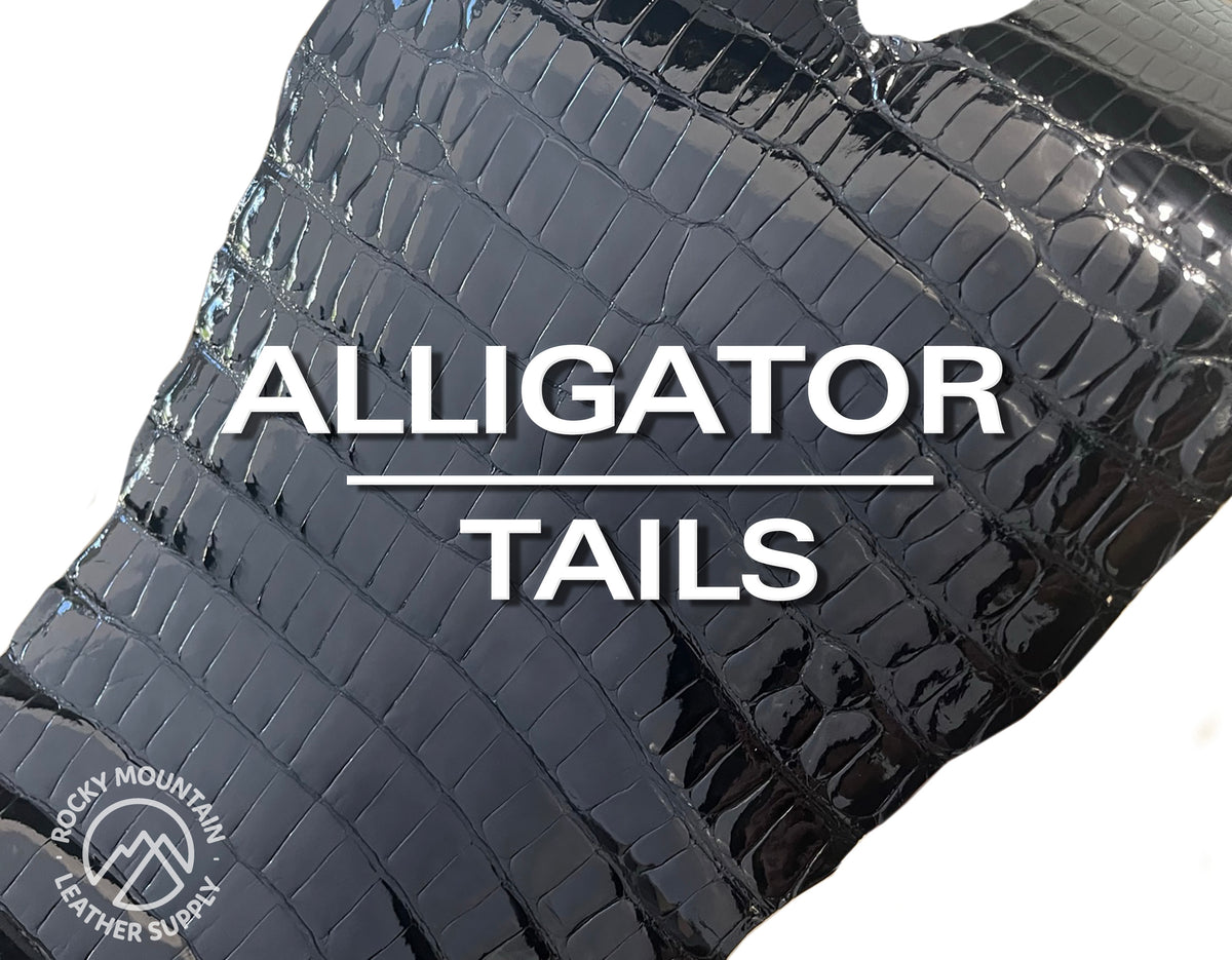 Overstock - American Alligator Tails - (Glazed Black) - 50% OFF!