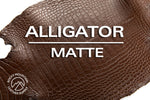 Alligator - Farm Raised (Top Quality) - Luxury Skins - Matte Chocolate