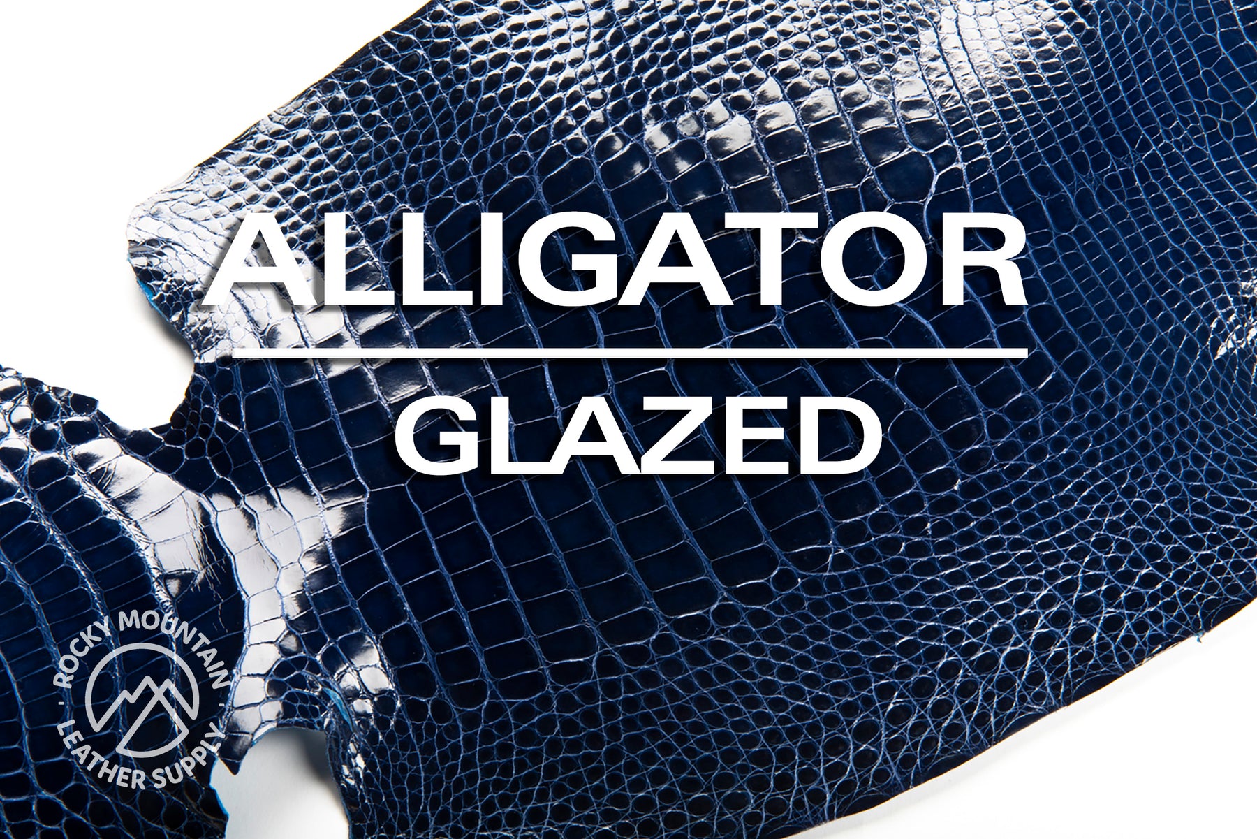 Alligator - Farm Raised (Top Quality) - Luxury Skins - Glazed Sapphire Blue