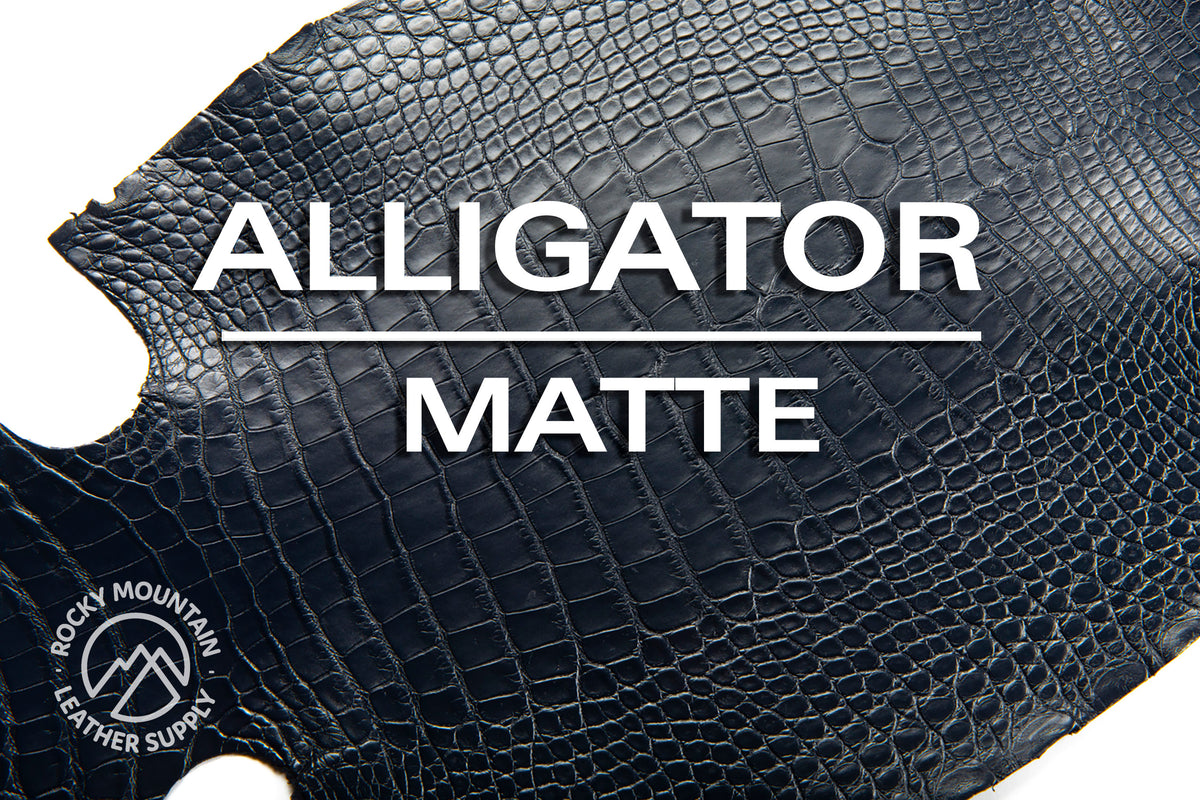 Alligator - Farm Raised (Top Quality) - Luxury Skins - Matte Navy