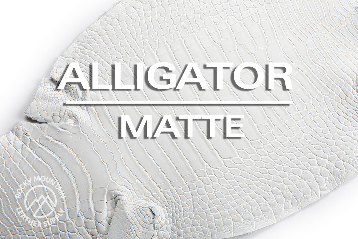 Alligator - Farm Raised (Top Quality) - Luxury Skins - Matte Pearl White