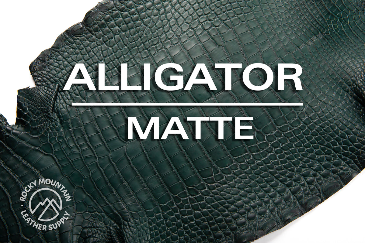 Alligator - Farm Raised (Top Quality) - Luxury Skins - Matte Pine