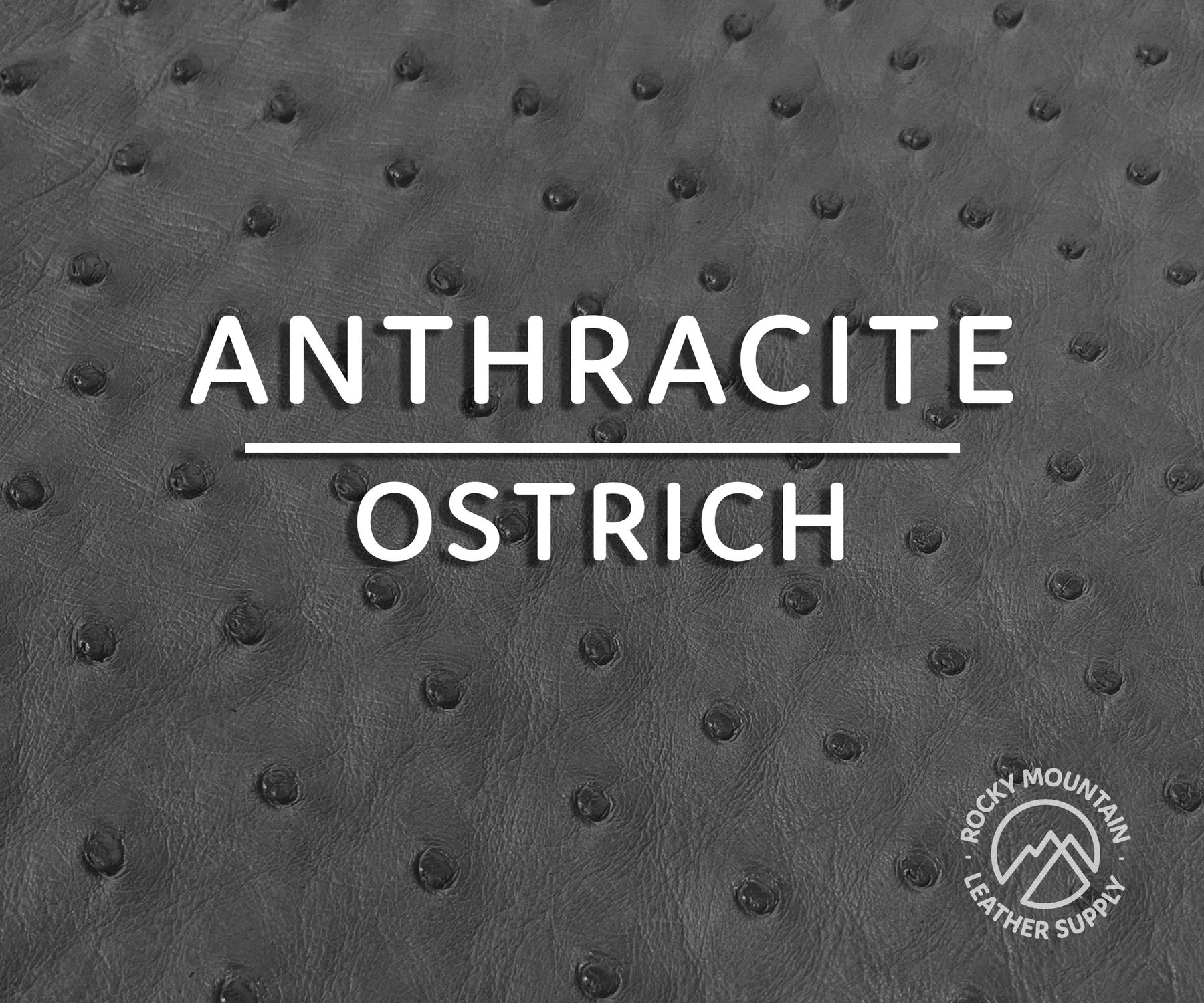 Ostrich -  Matte - Luxury Exotic Leather (Hides)