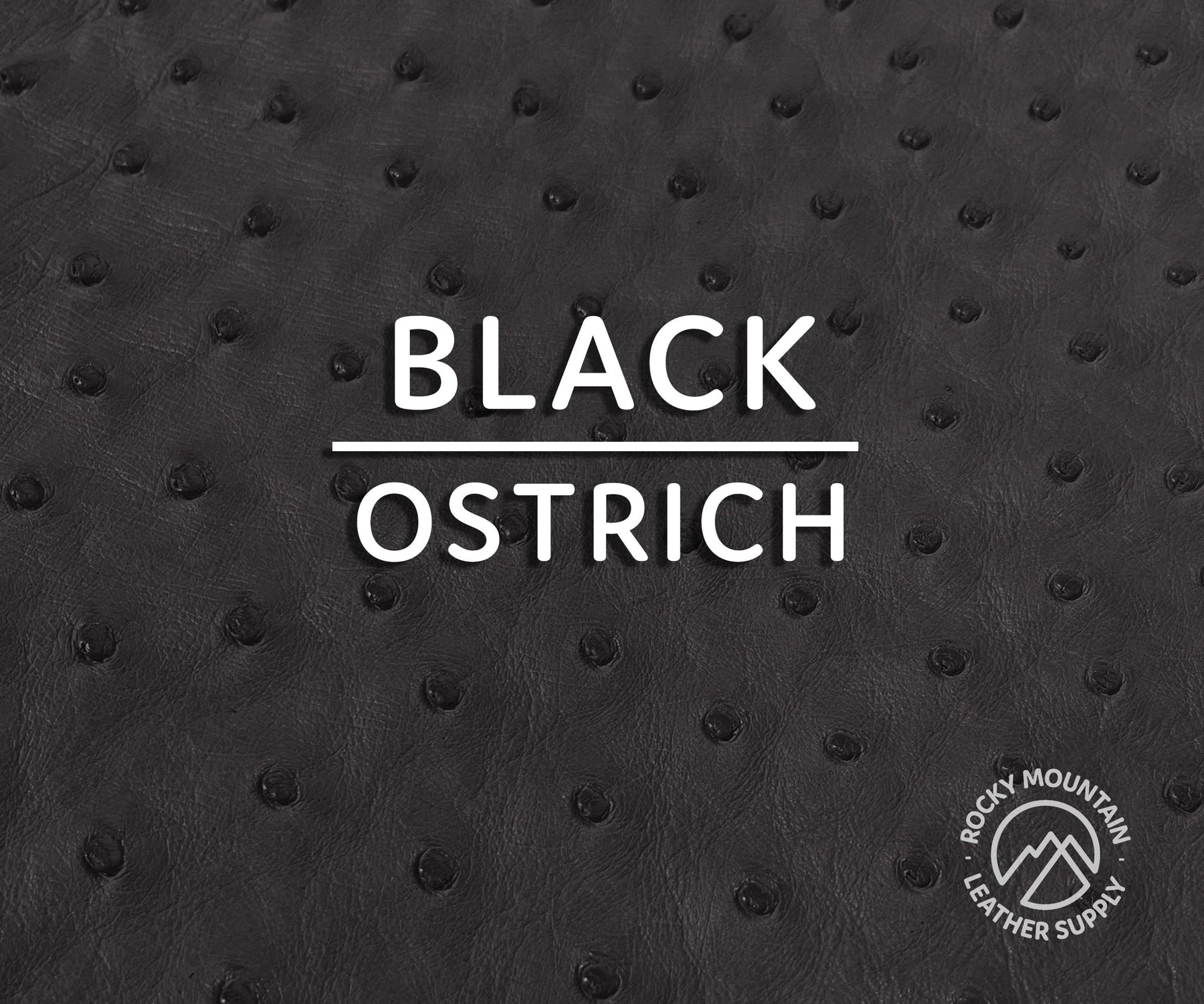 Ostrich -  Matte - Luxury Exotic Leather (Hides)