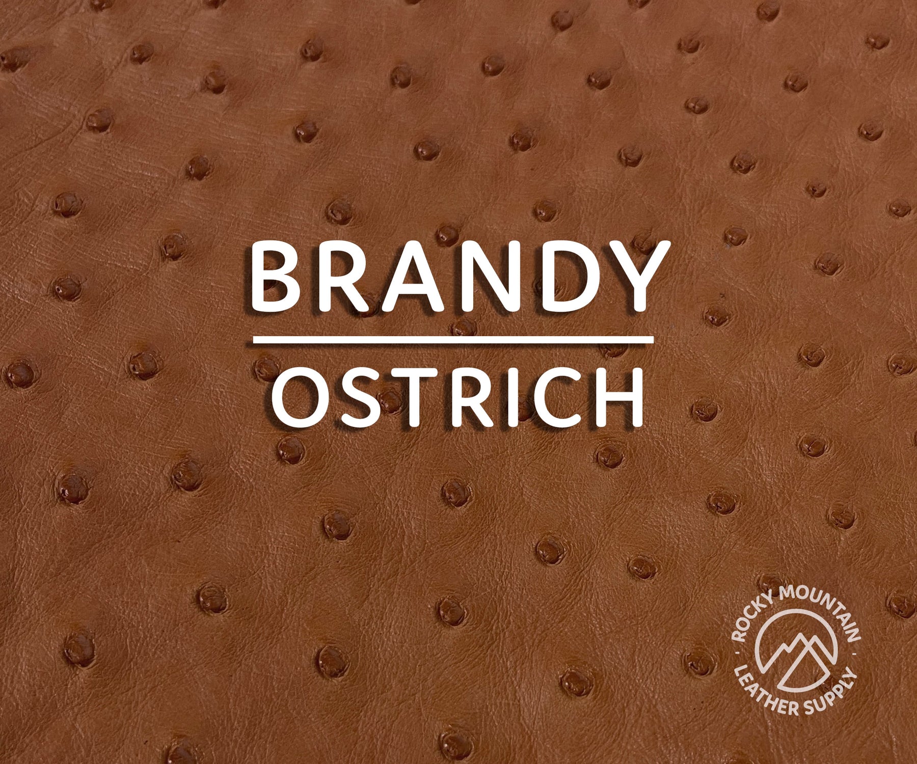 Ostrich Leather Skins / Hides