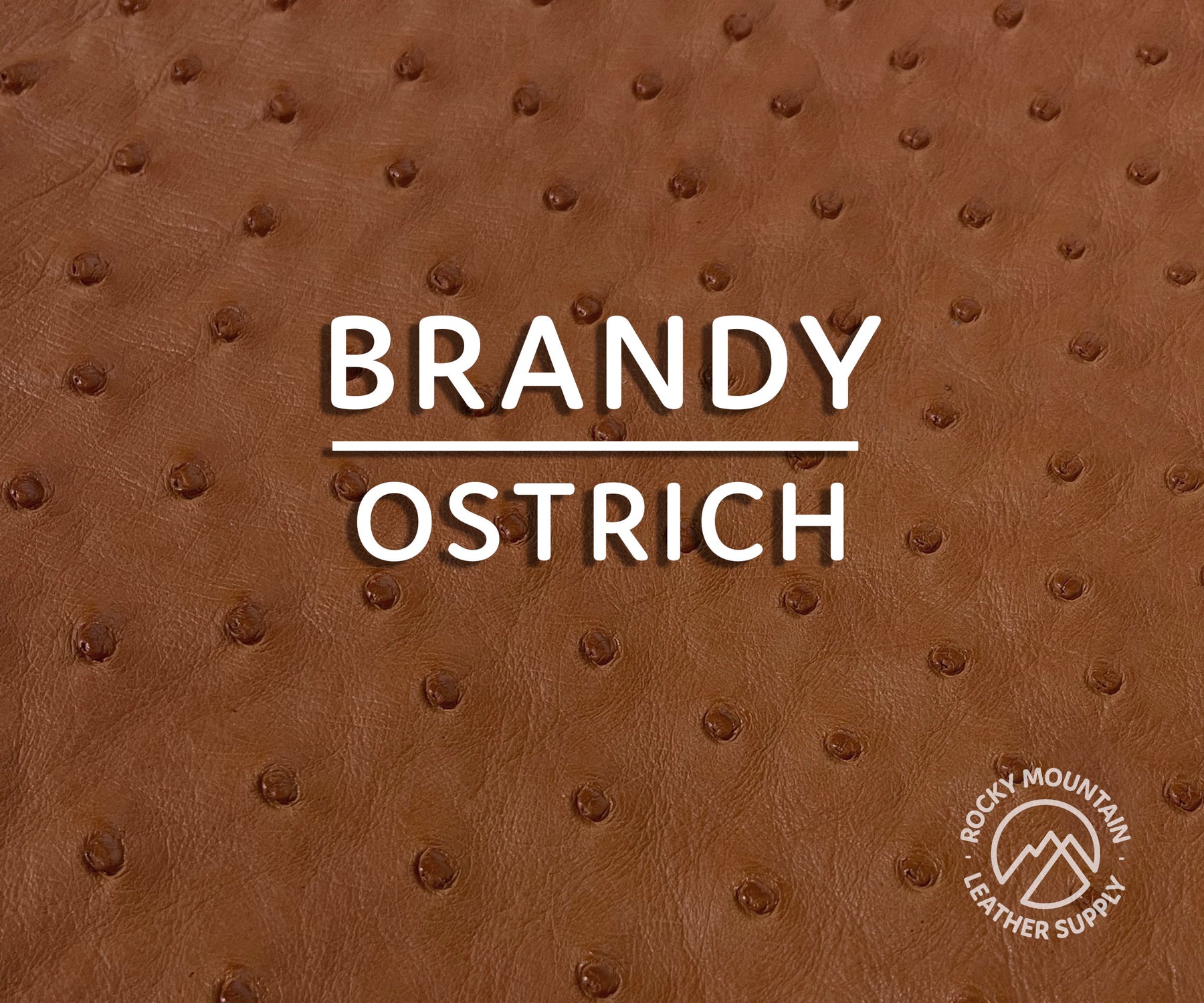 Ostrich Exotic Skin Leather Sale: How To Recognize The Genuine One -  BuyLeatherOnline