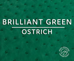 Ostrich -  Matte - Luxury Exotic Leather (Hides)
