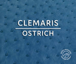 Ostrich -  Matte - Luxury Exotic Leather (Hides)