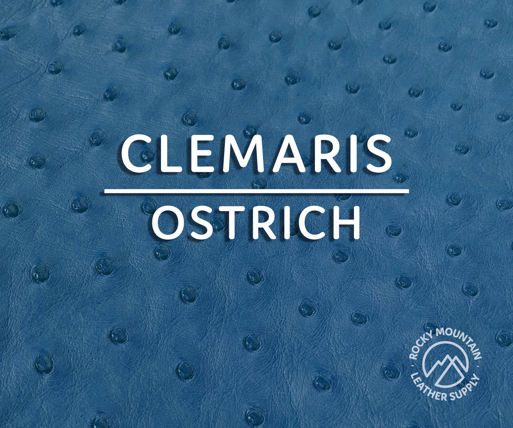 Ostrich -  Matte - Luxury Exotic Leather (Hides)