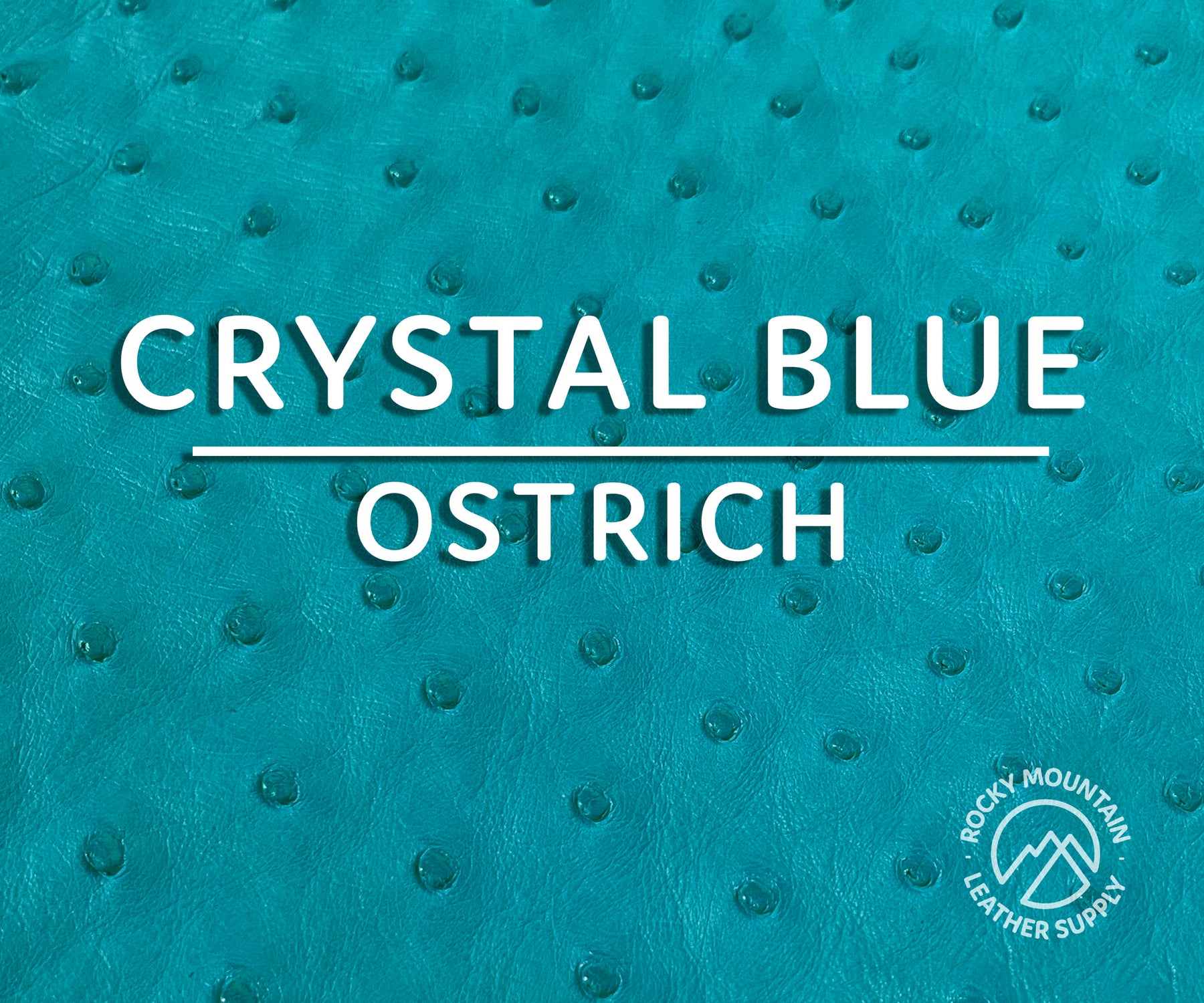 Ostrich -  Matte - Luxury Exotic Leather (Hides)