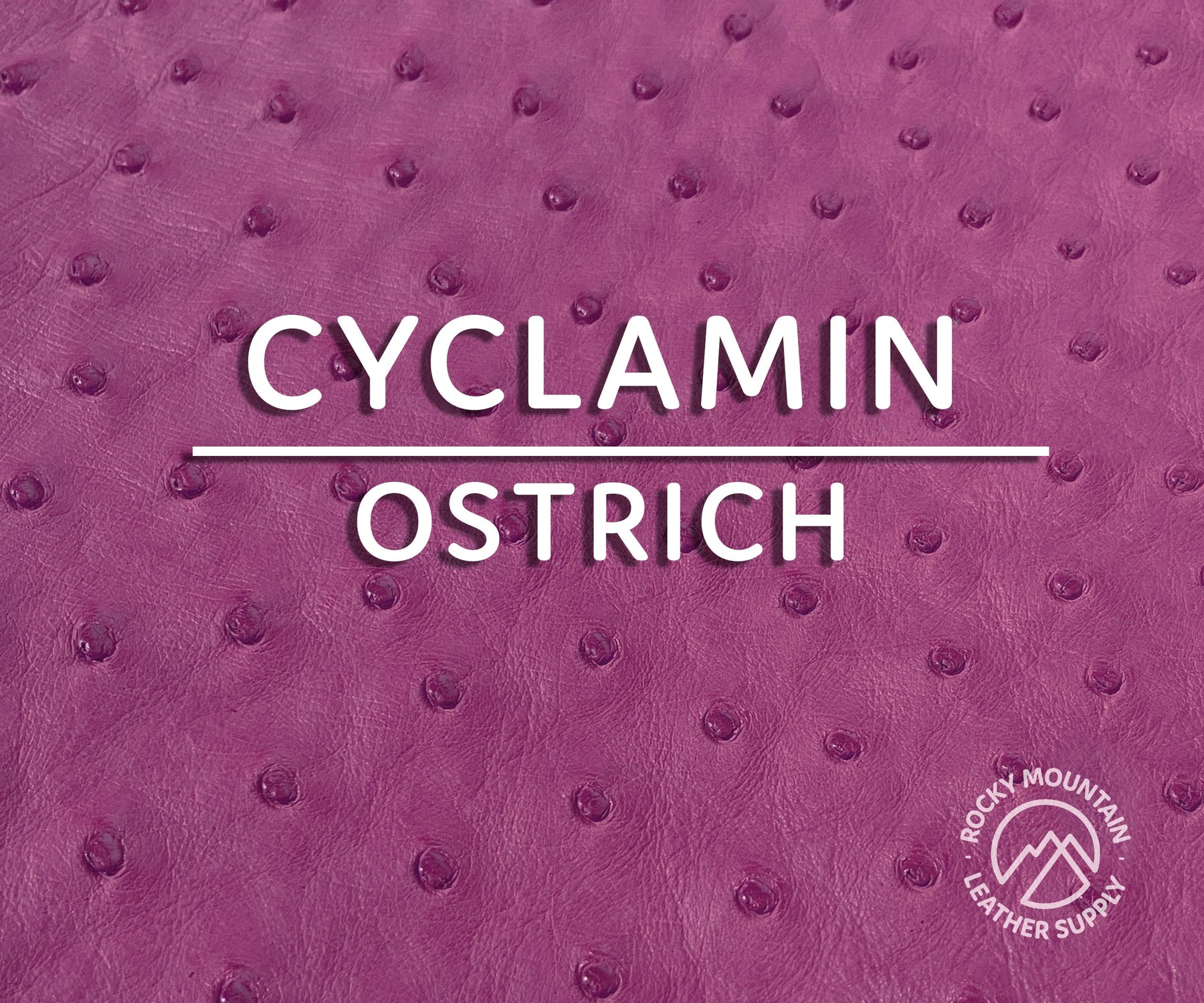 Ostrich -  Matte - Luxury Exotic Leather (Hides)