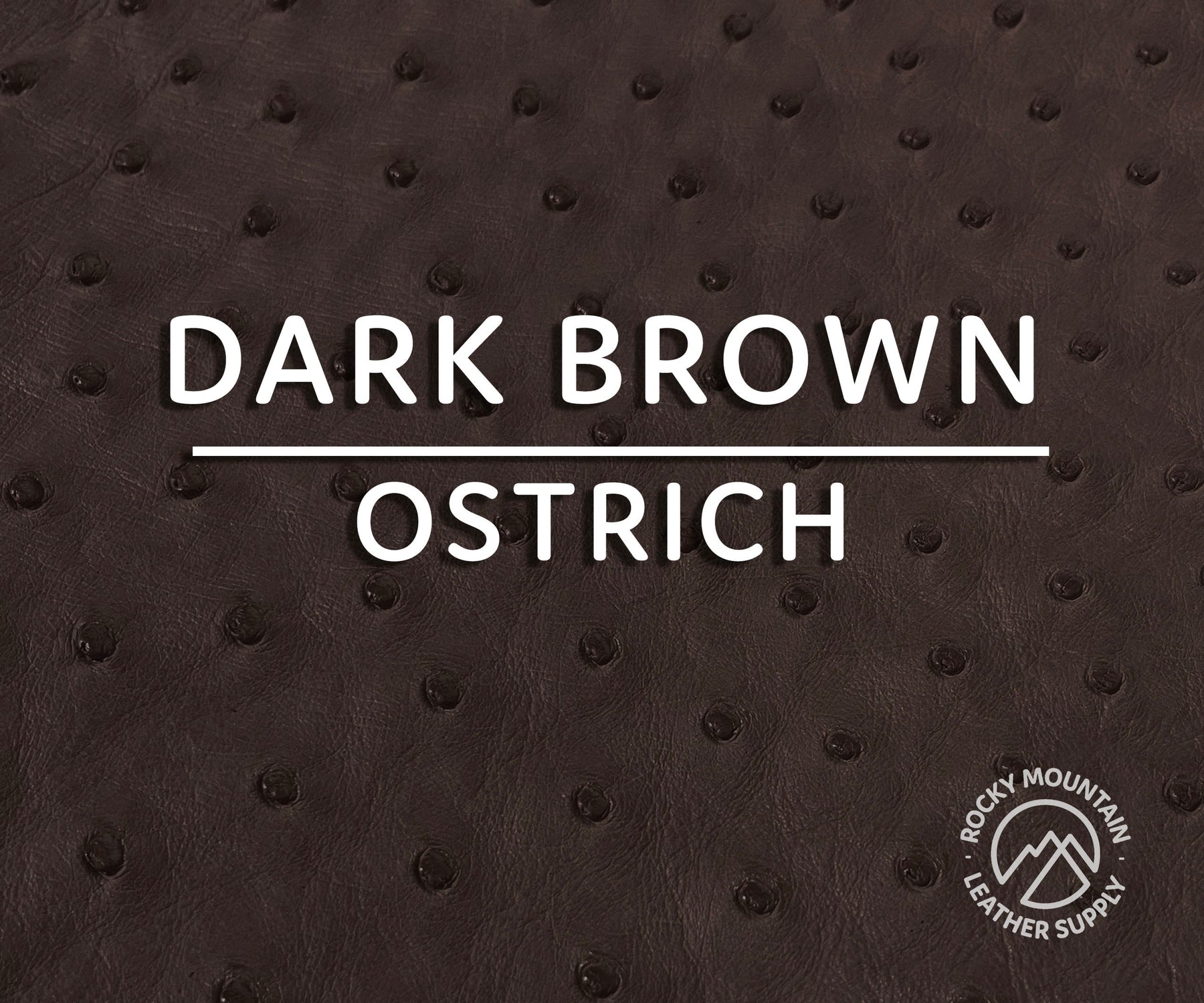 Ostrich -  Matte - Luxury Exotic Leather (Hides)