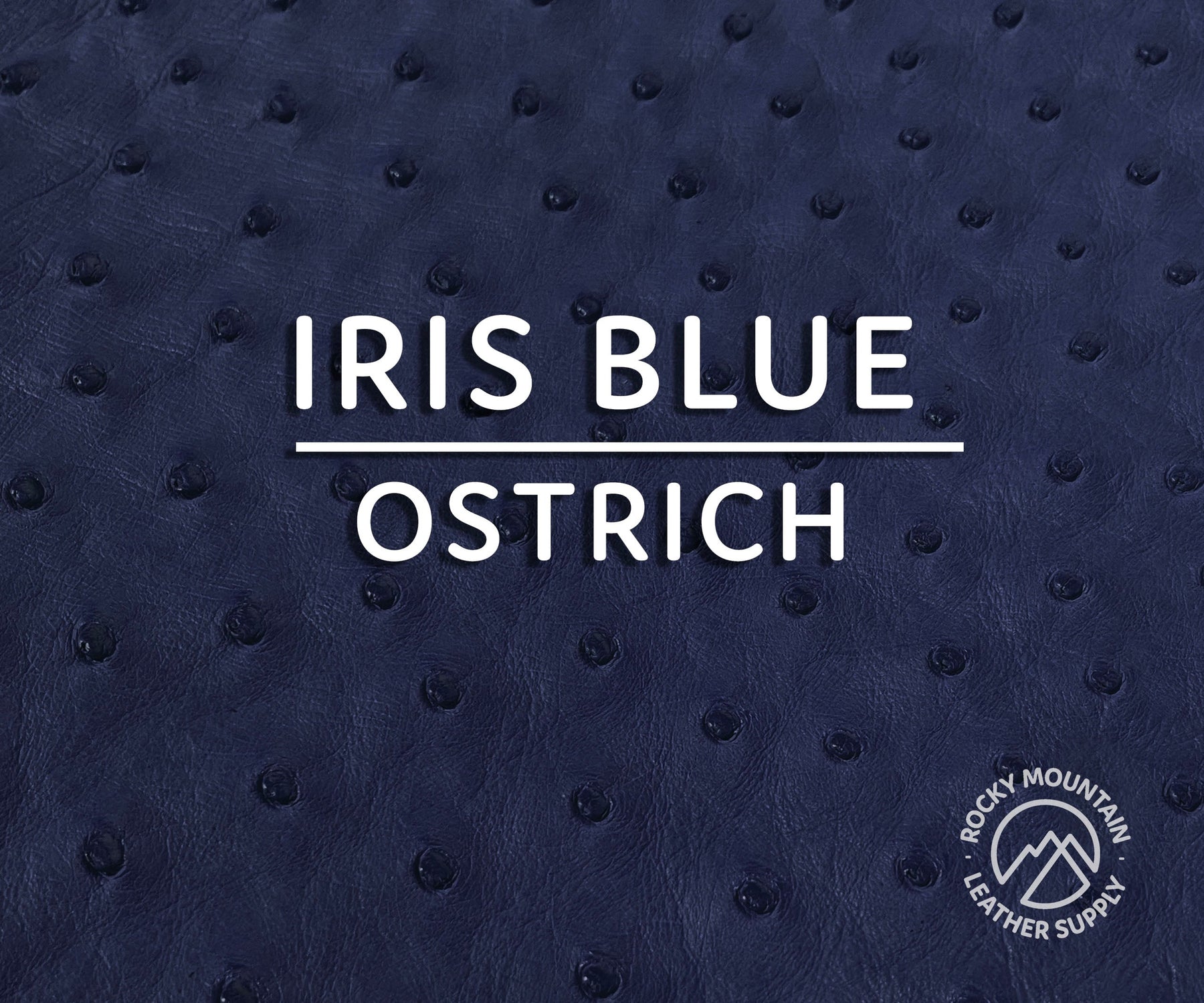 blue ostrich leather