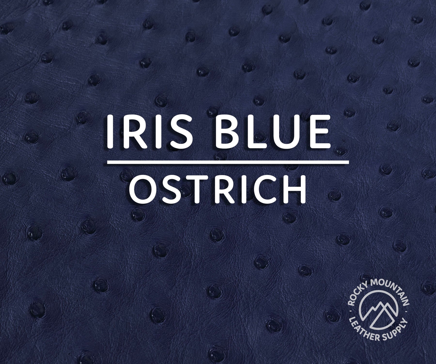 Ostrich -  Matte - Luxury Exotic Leather (Hides)