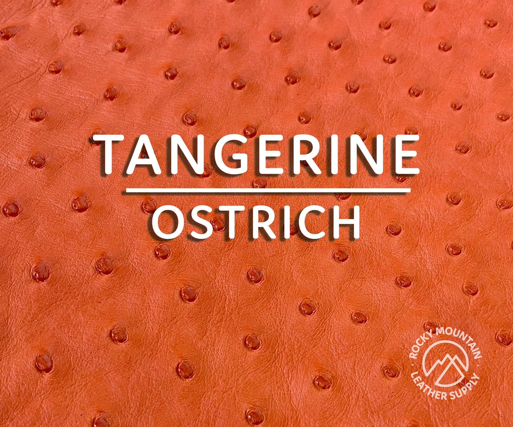 real ostrich leather