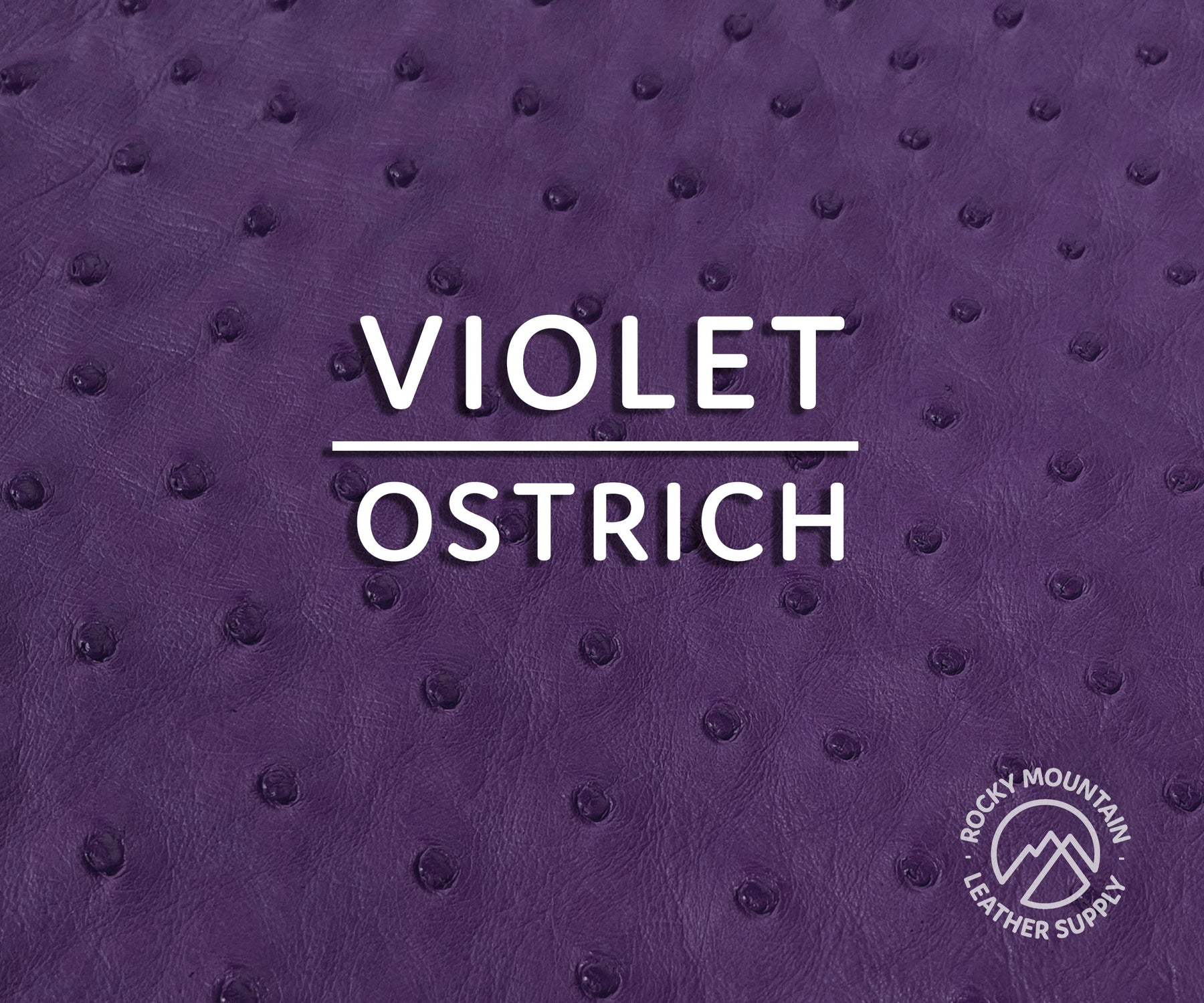 Ostrich -  Matte - Luxury Exotic Leather (Hides)