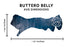 Conceria Walpier - Buttero "Bellies" - Veg Tanned Leather (BELLIES) - 40% OFF!