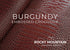 Embossed Crocodile - Luxury Veg Tanned Leather (HIDES)
