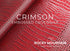 Embossed Crocodile - Luxury Veg Tanned Leather (HIDES)