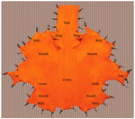 Klein Karoo - Luxury Ostrich -  Matte - Exotic Leather (Hides)