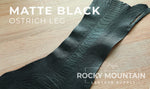 Ostrich Leg - "Glazed" - Premium Exotic Leather - 30% Off!