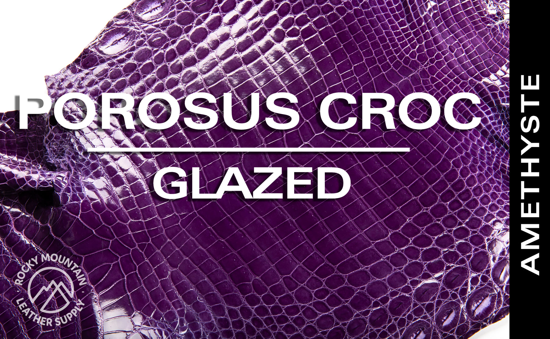 Porosus Crocodile - Farm Raised (Top Quality) - Luxury Skins - Glazed Amethyste