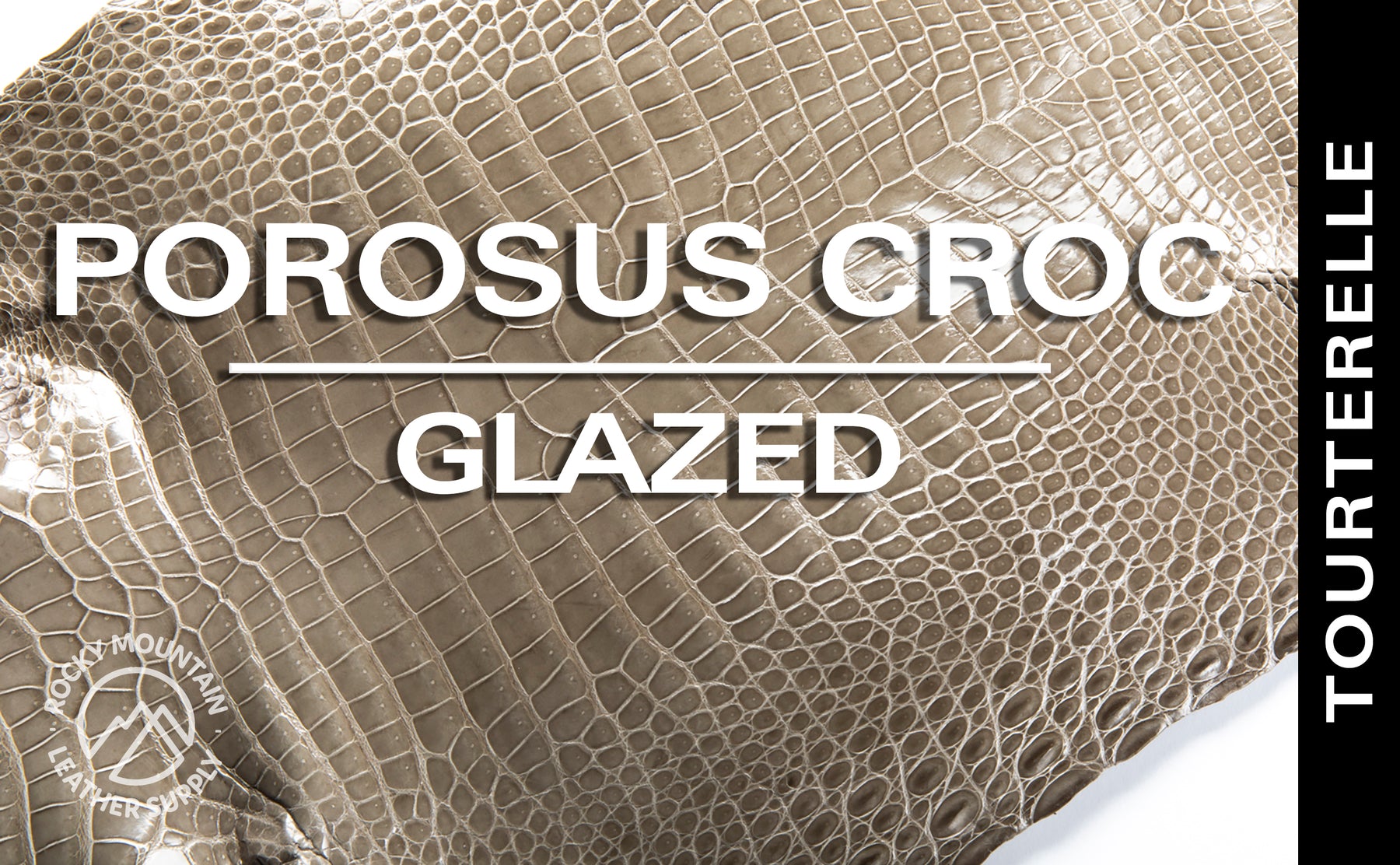 Porosus Crocodile - Farm Raised (Top Quality) - Luxury Skins - Glazed Tourterelle