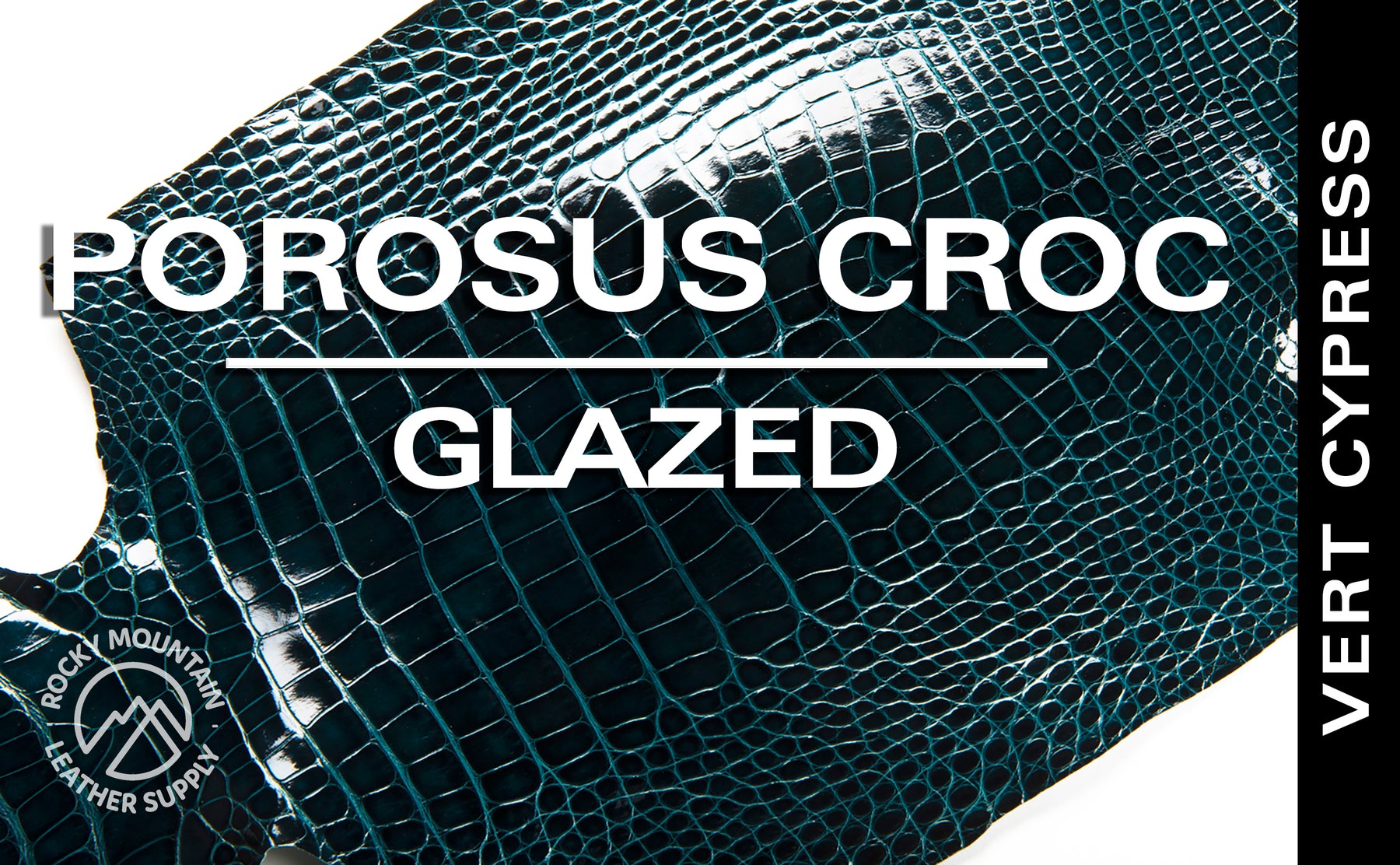 Porosus Crocodile - Farm Raised (Top Quality) - Luxury Skins - Glazed