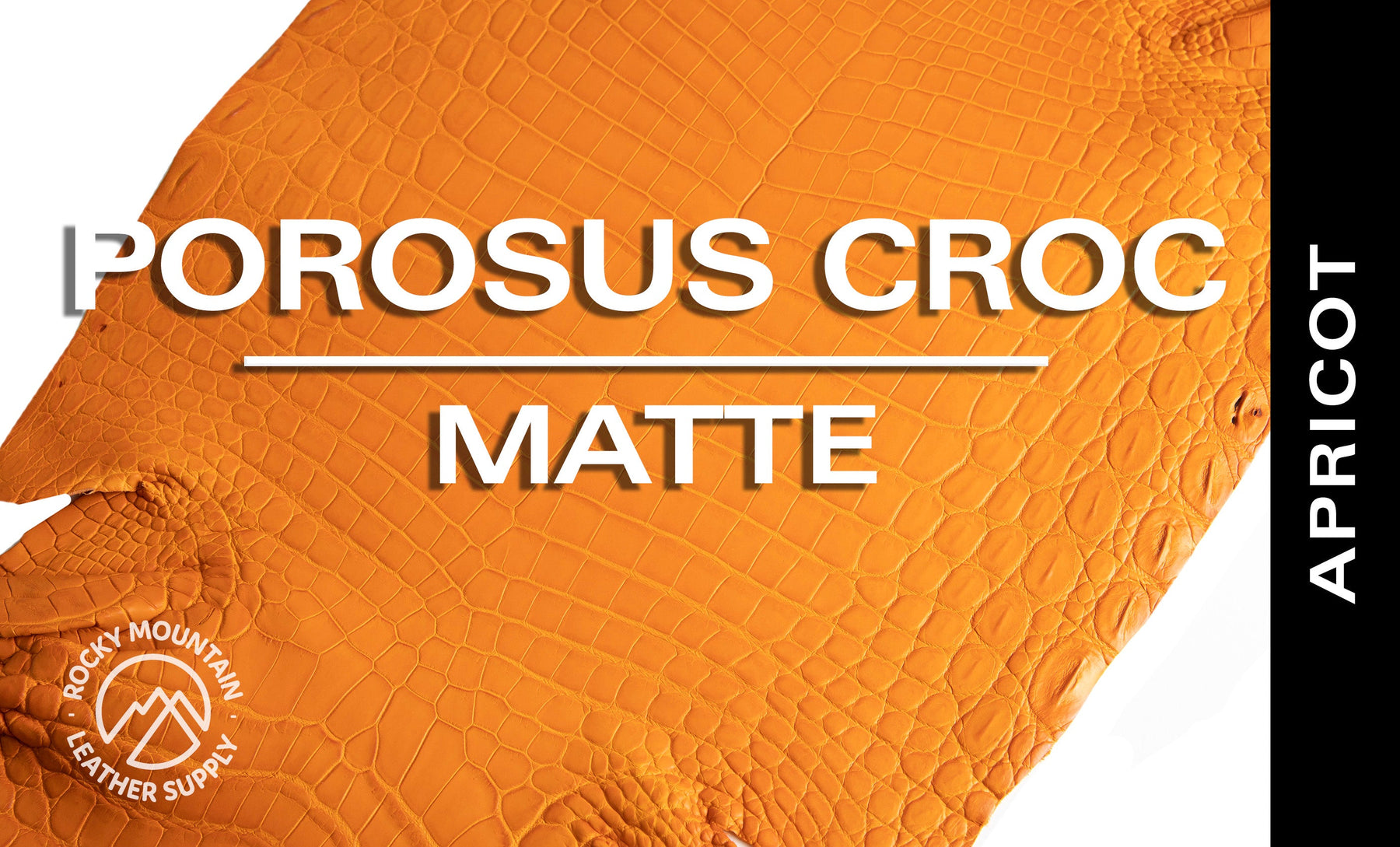 Porosus Crocodile - Matte - Farm Raised / Luxury Skins (35-39cm)