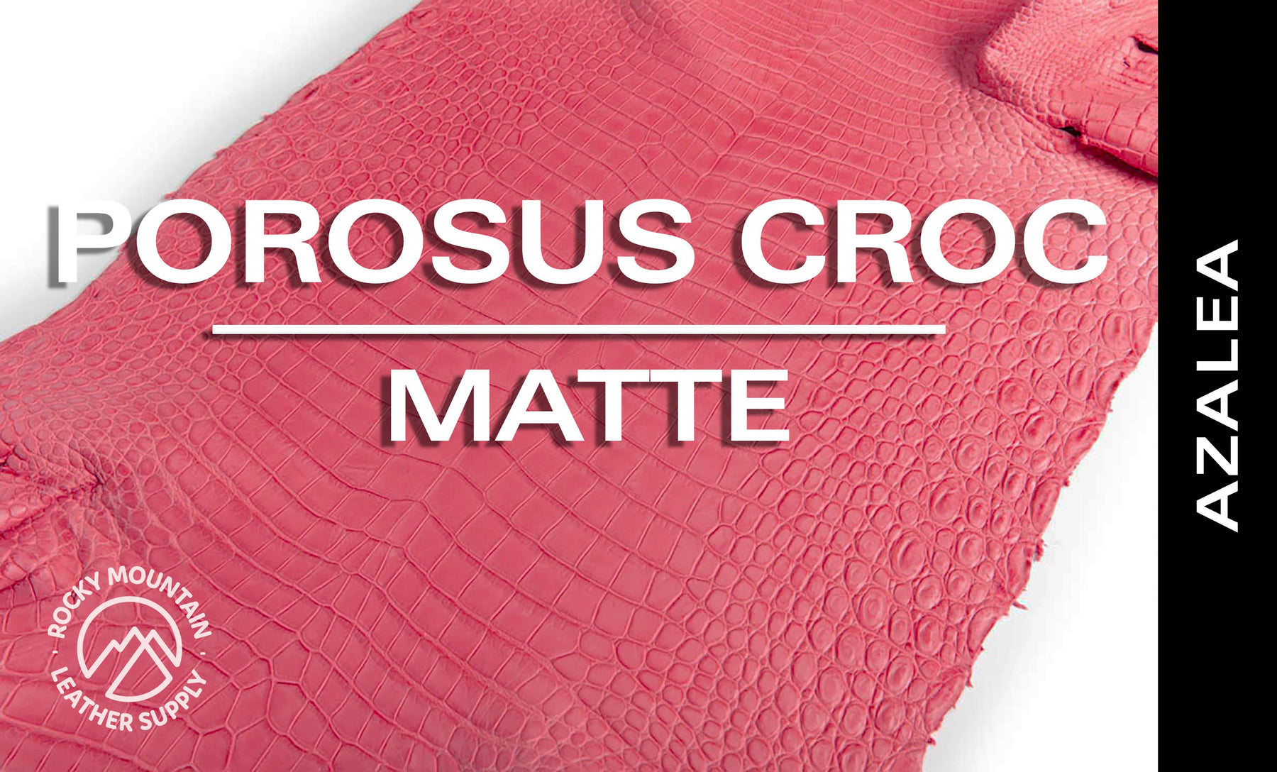 Porosus Crocodile - Matte - Farm Raised / Luxury Skins (35-39cm)