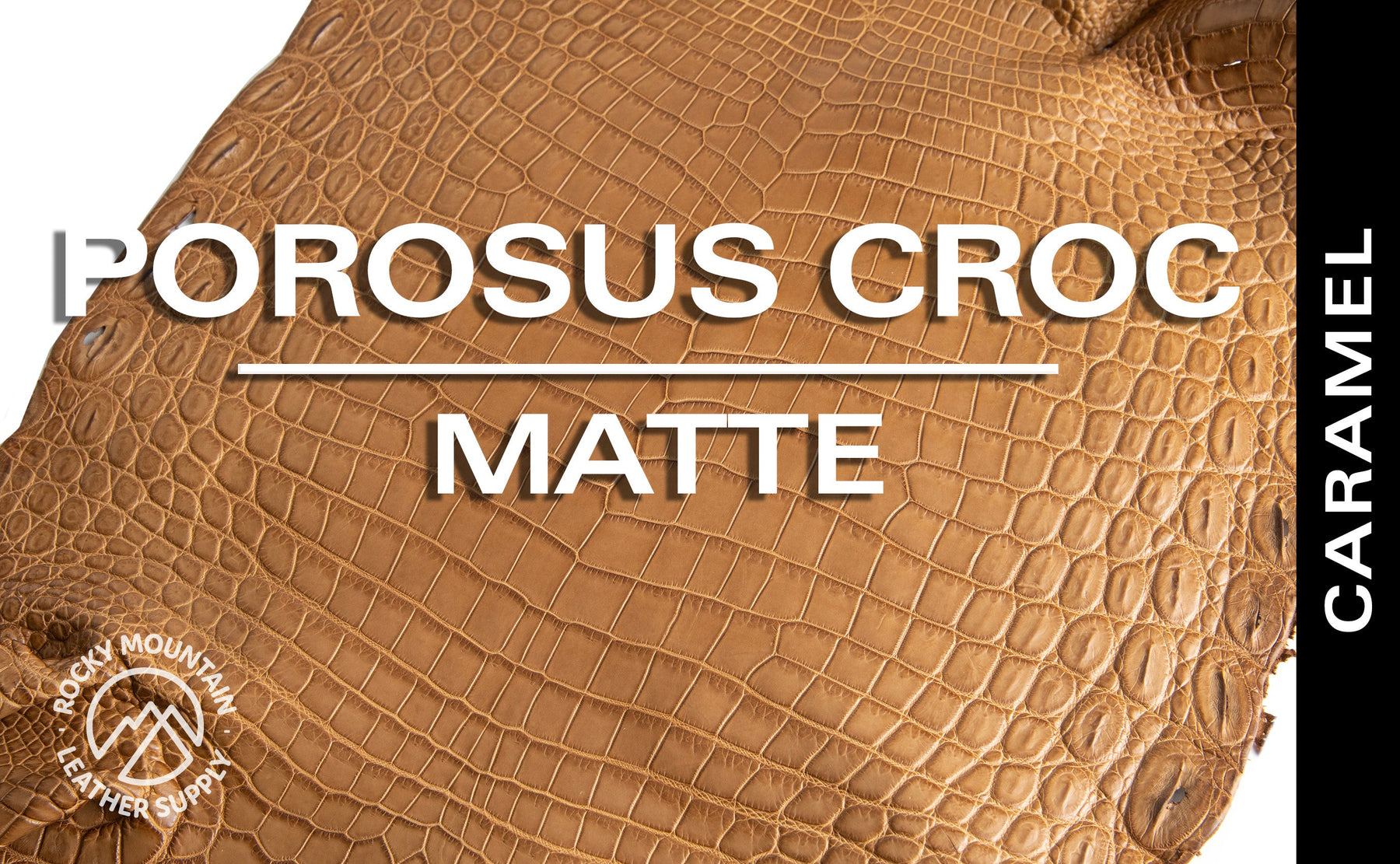 Porosus Crocodile - Matte - Farm Raised / Luxury Skins (35-39cm)