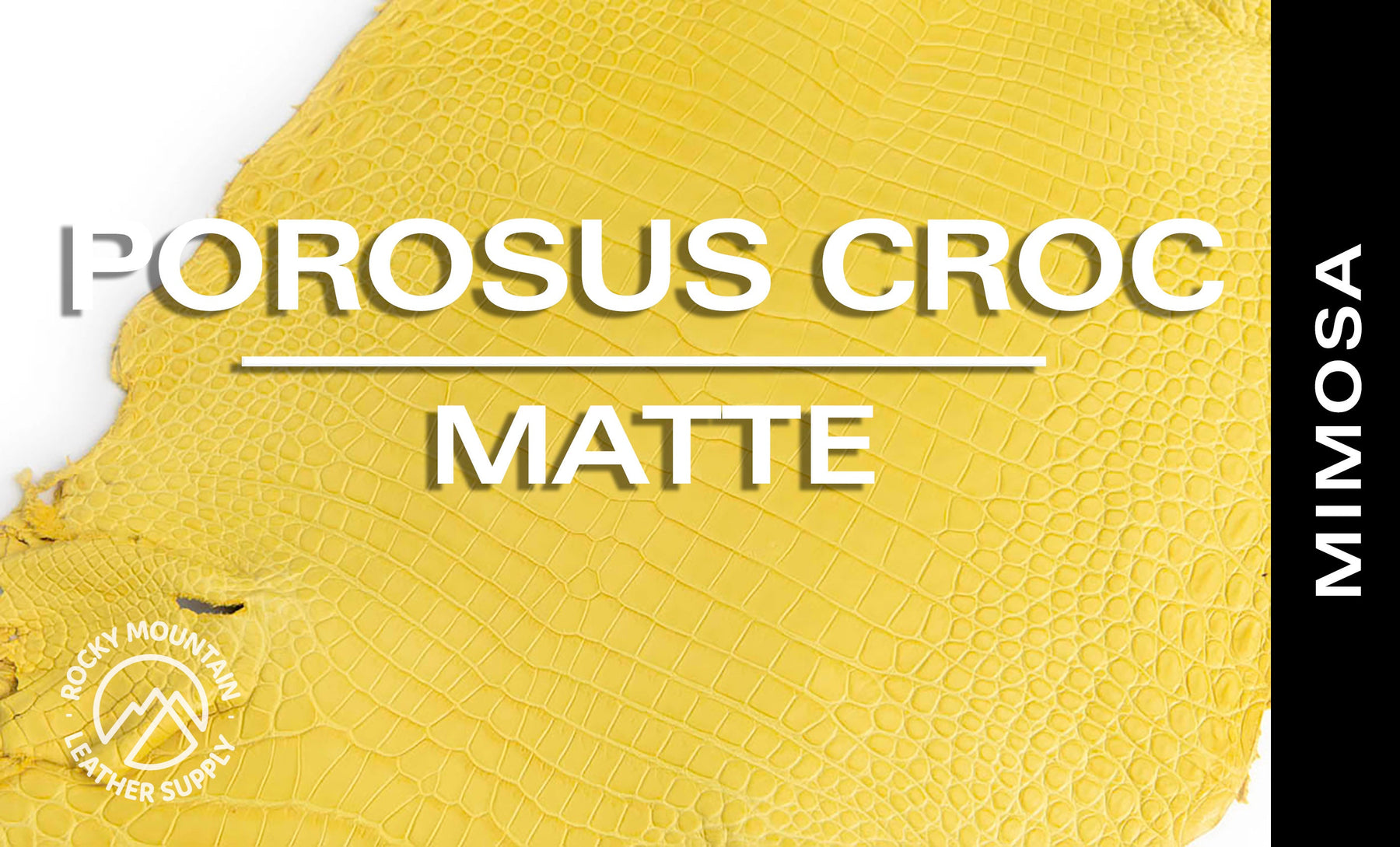 Porosus Crocodile - Matte - Farm Raised / Luxury Skins (35-39cm)