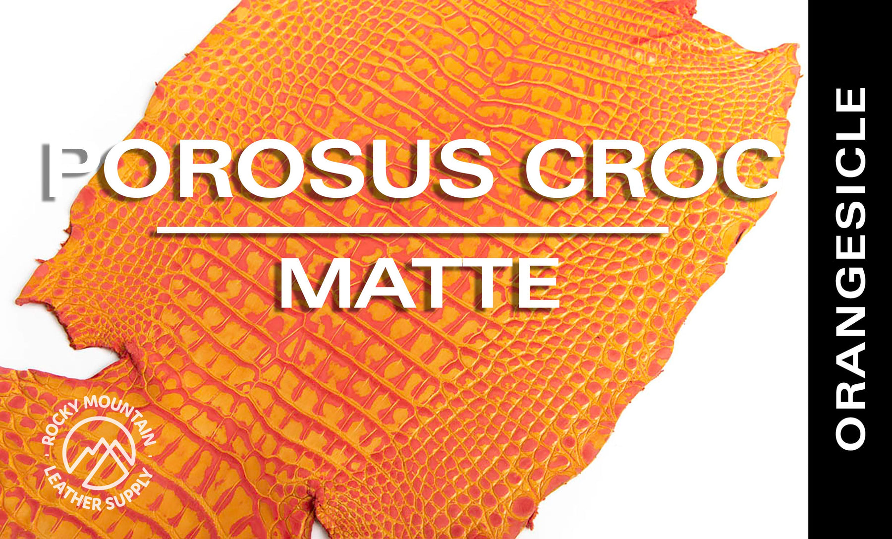Porosus Crocodile - Matte - Farm Raised / Luxury Skins (35-39cm)