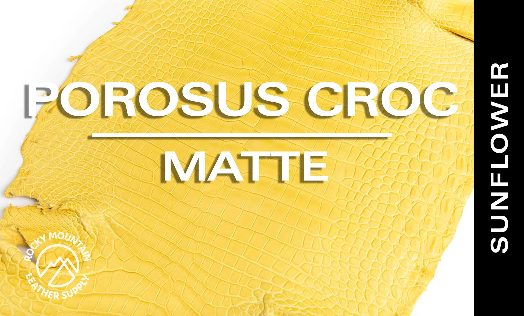 Porosus Crocodile - Matte - Farm Raised / Luxury Skins (35-39cm)