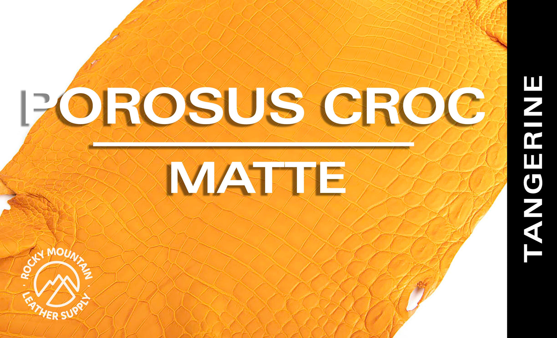 Porosus Crocodile - Matte - Farm Raised / Luxury Skins (35-39cm)