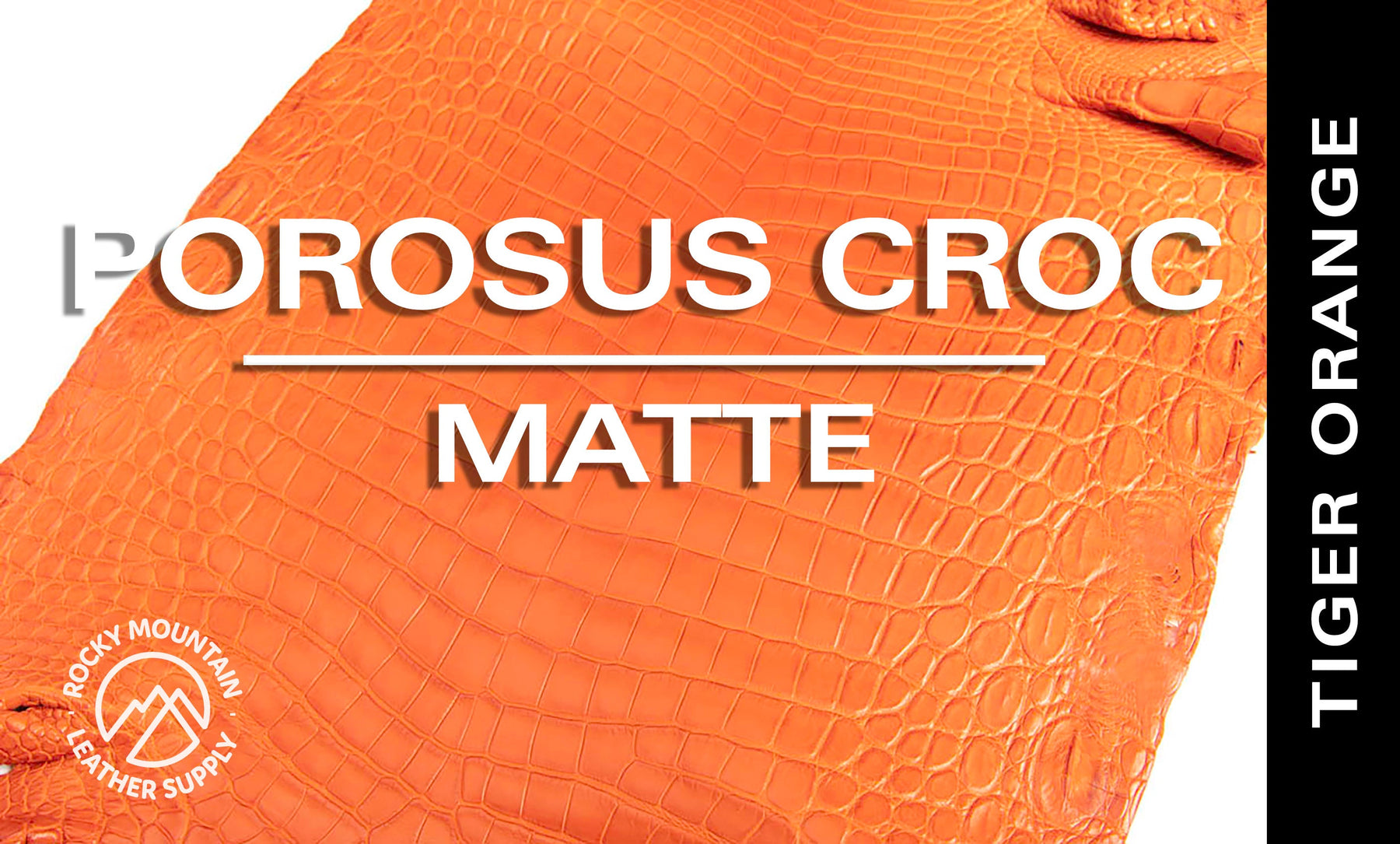 Porosus Crocodile - Matte - Farm Raised / Luxury Skins (35-39cm)